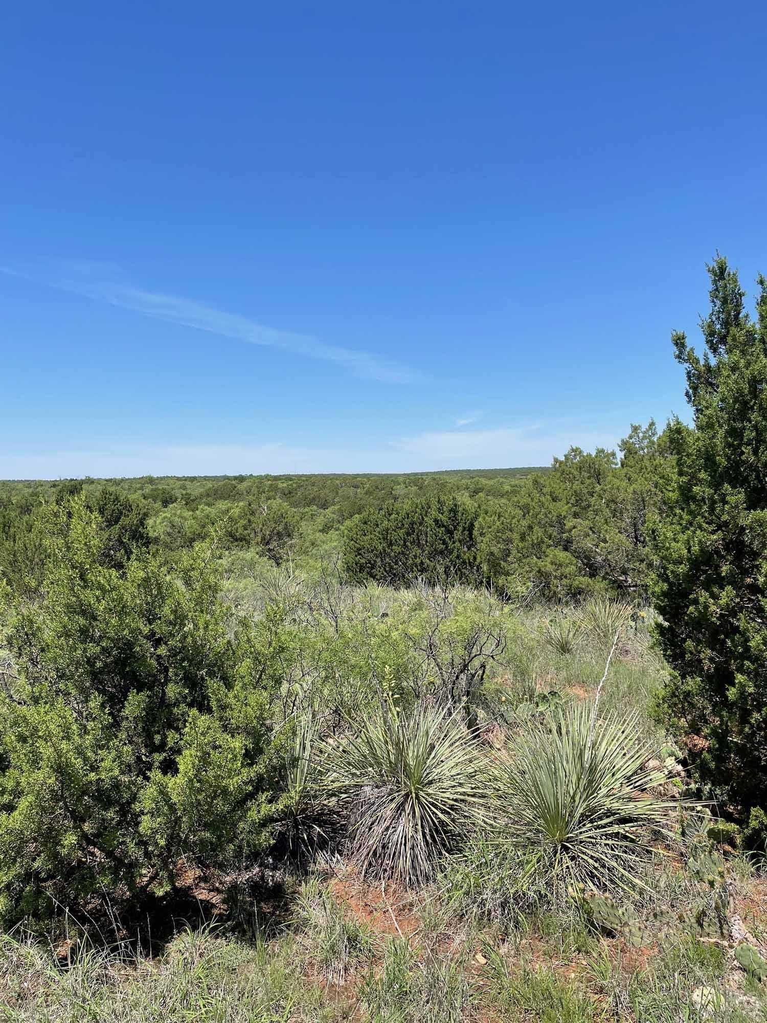108 acres in Hall County, Texas