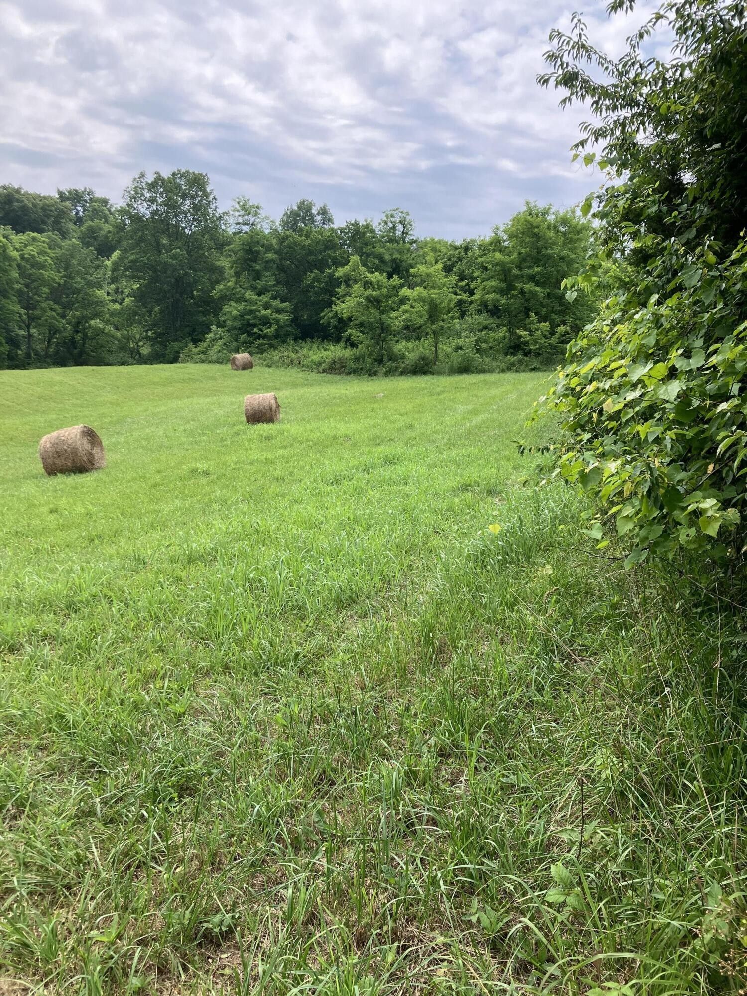 10 acres in Bath County, Kentucky