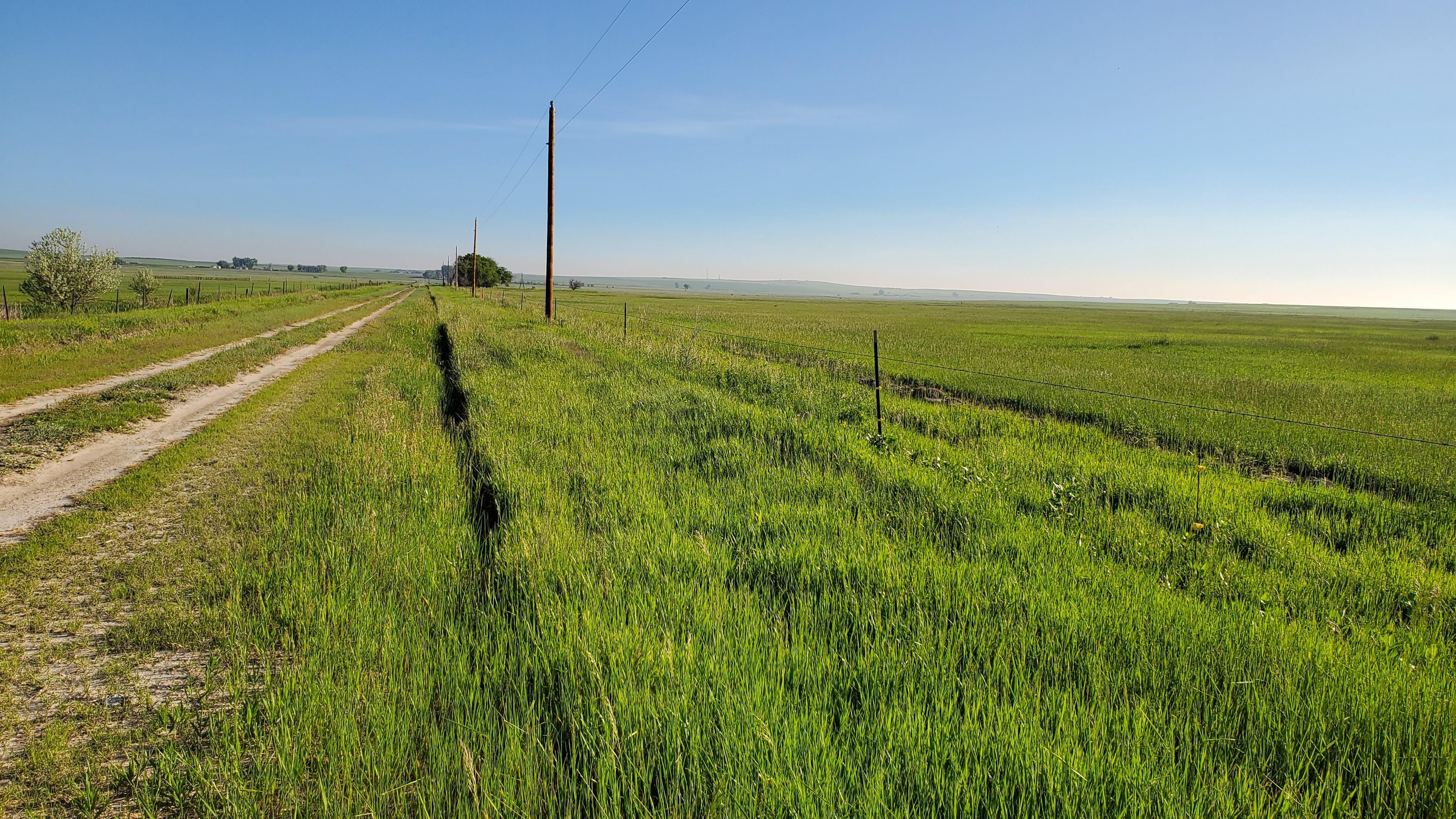 80 acres in Goshen County, Wyoming
