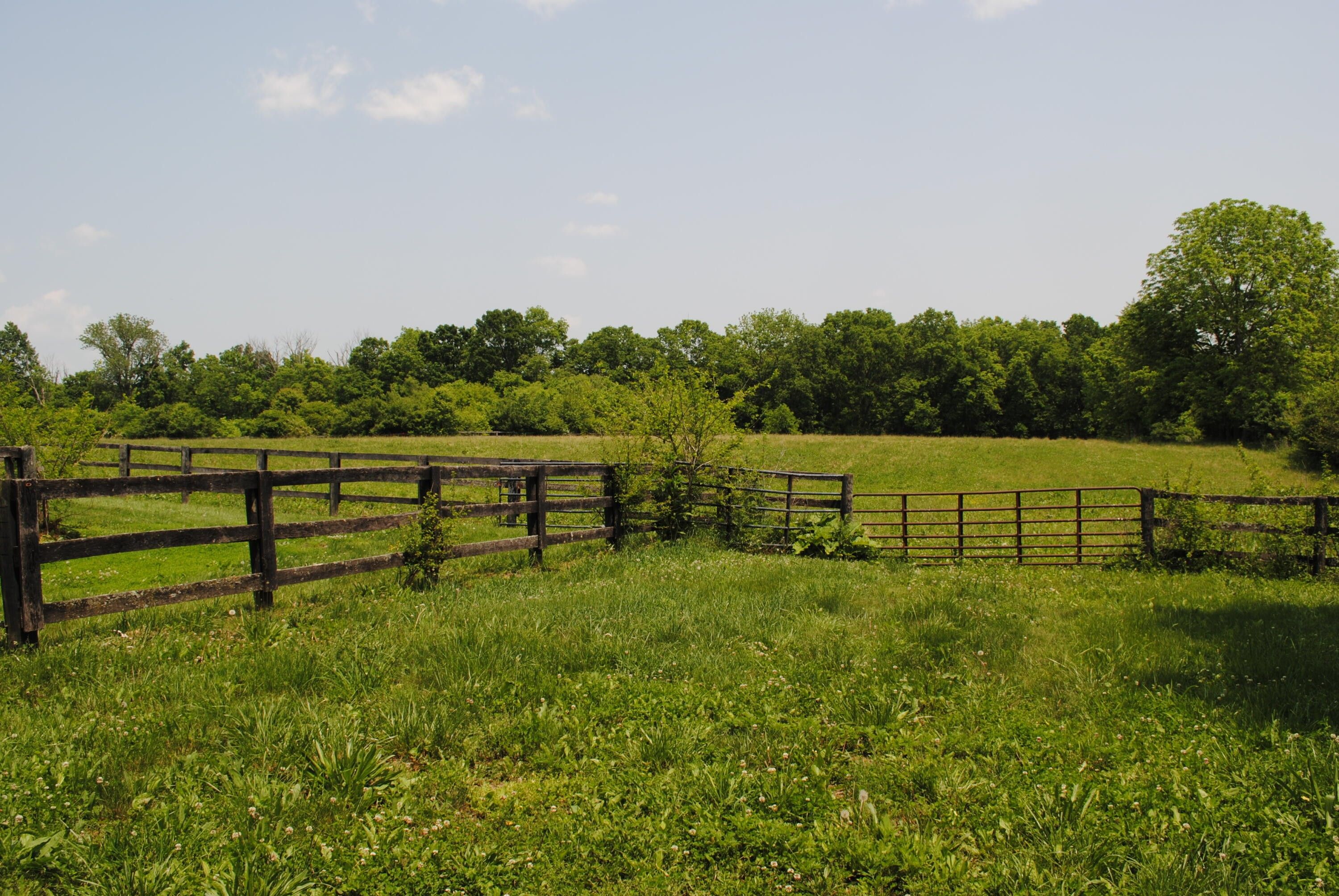 15 acres in Bourbon County, Kentucky