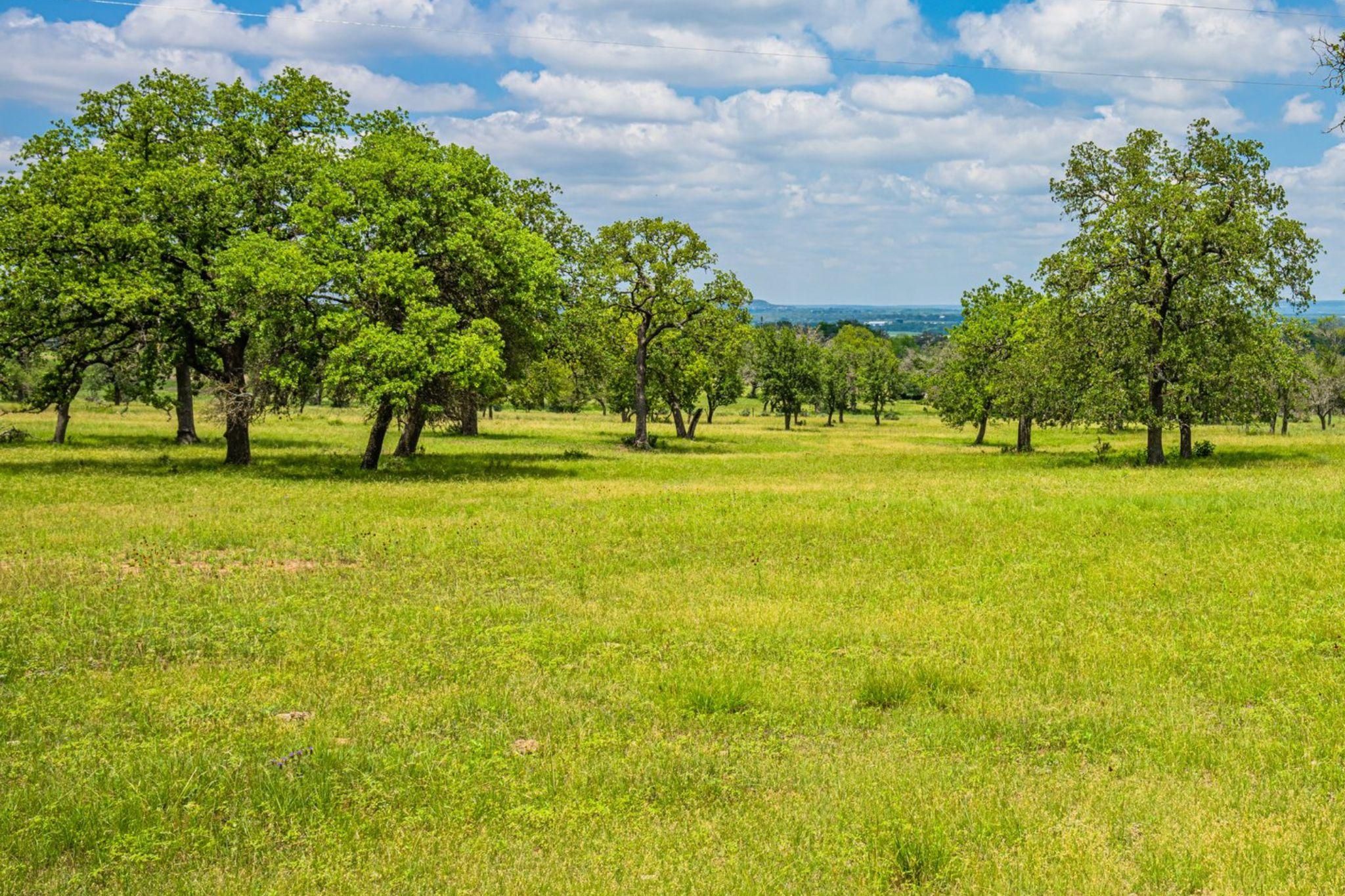 358.39 acres in Gillespie County, Texas