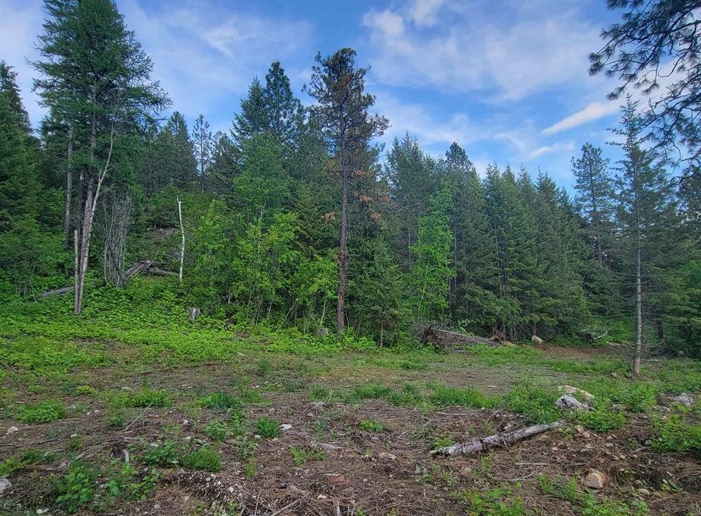 NNA Elk Loop 10, Sandpoint, ID 83864 MLS 20231553