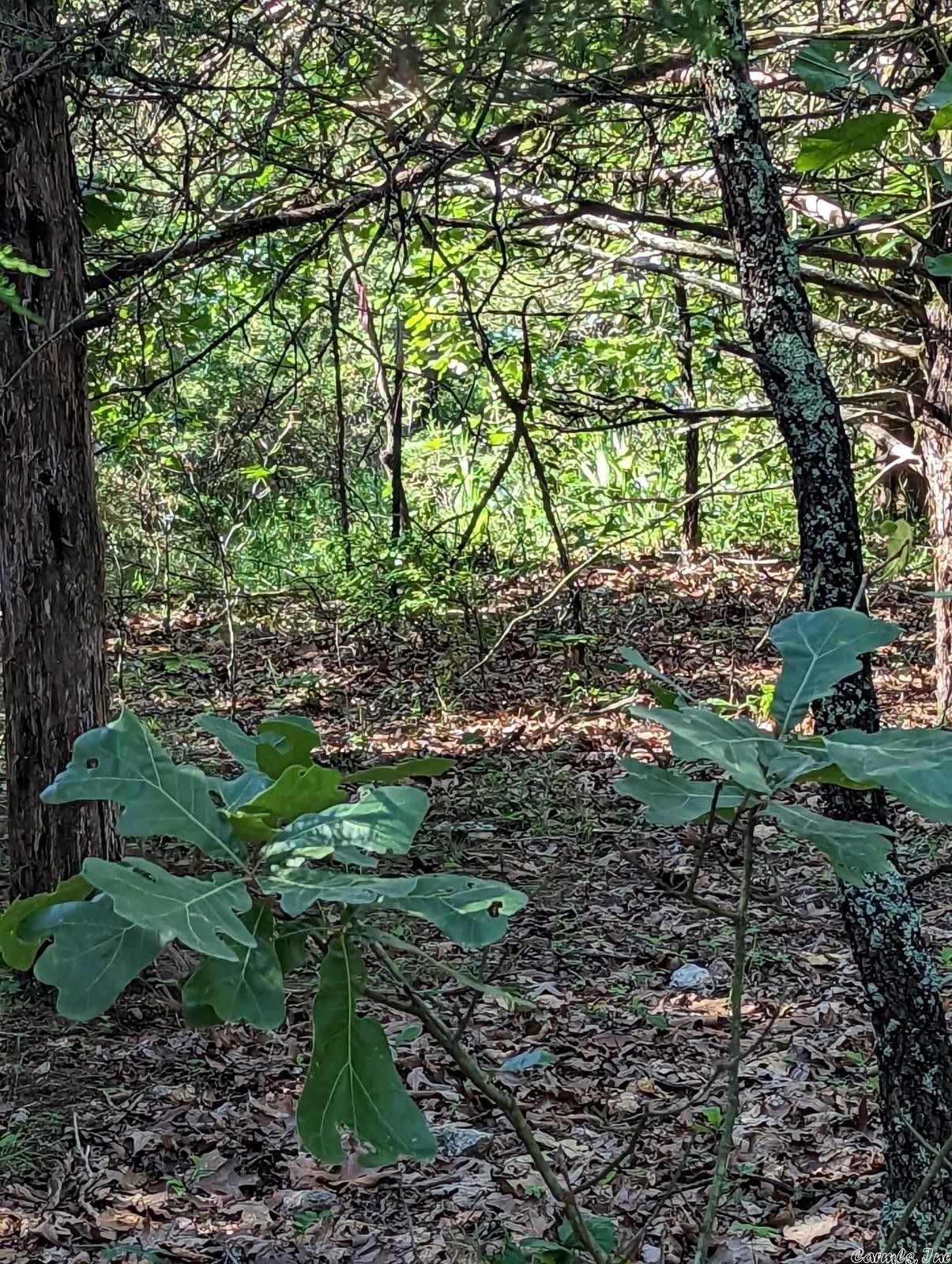 10 acres in Fulton County, Arkansas