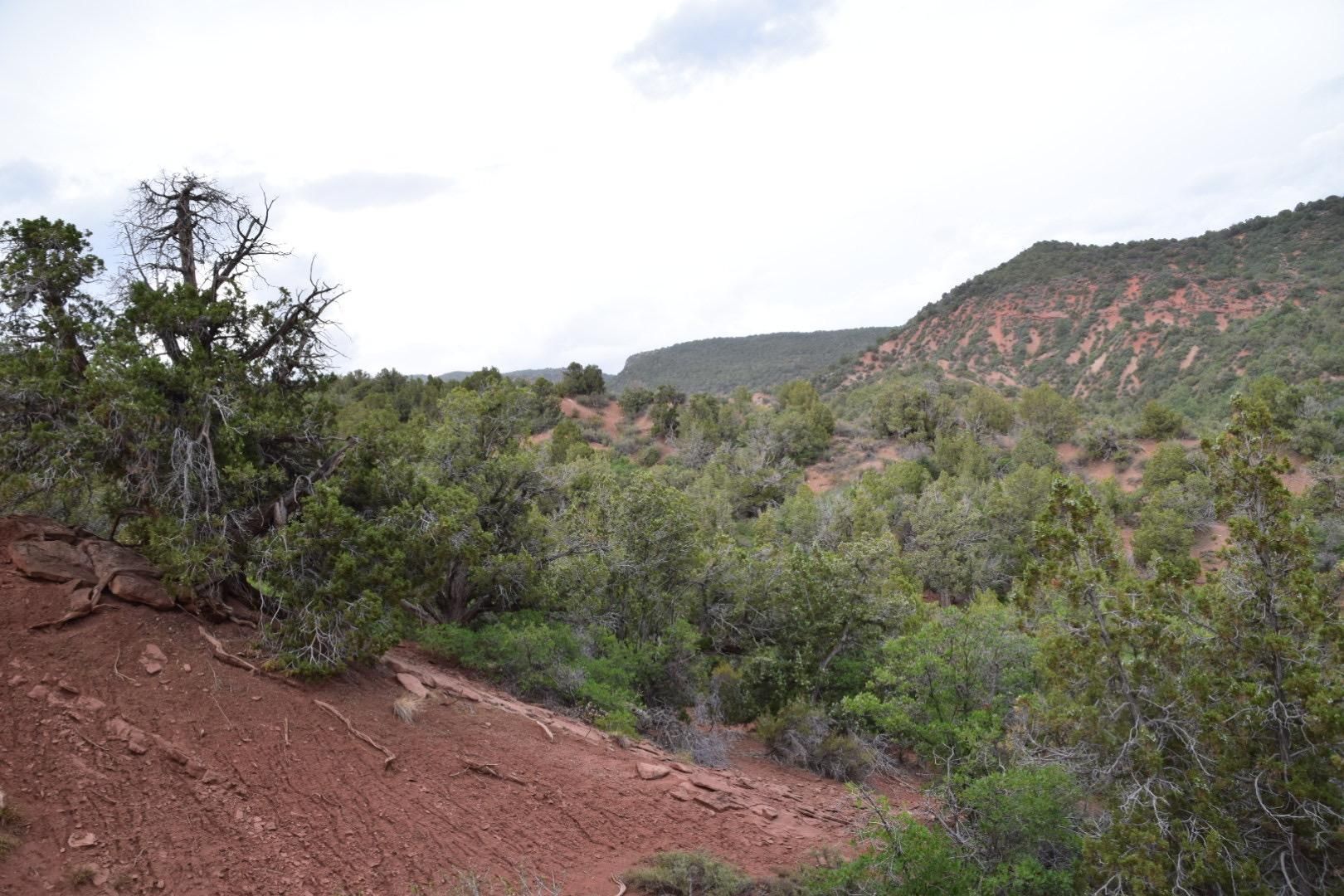 164.85 acres in Juab County, Utah