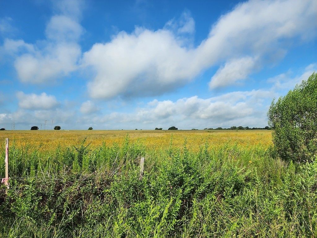 2 acres in Austin County, Texas