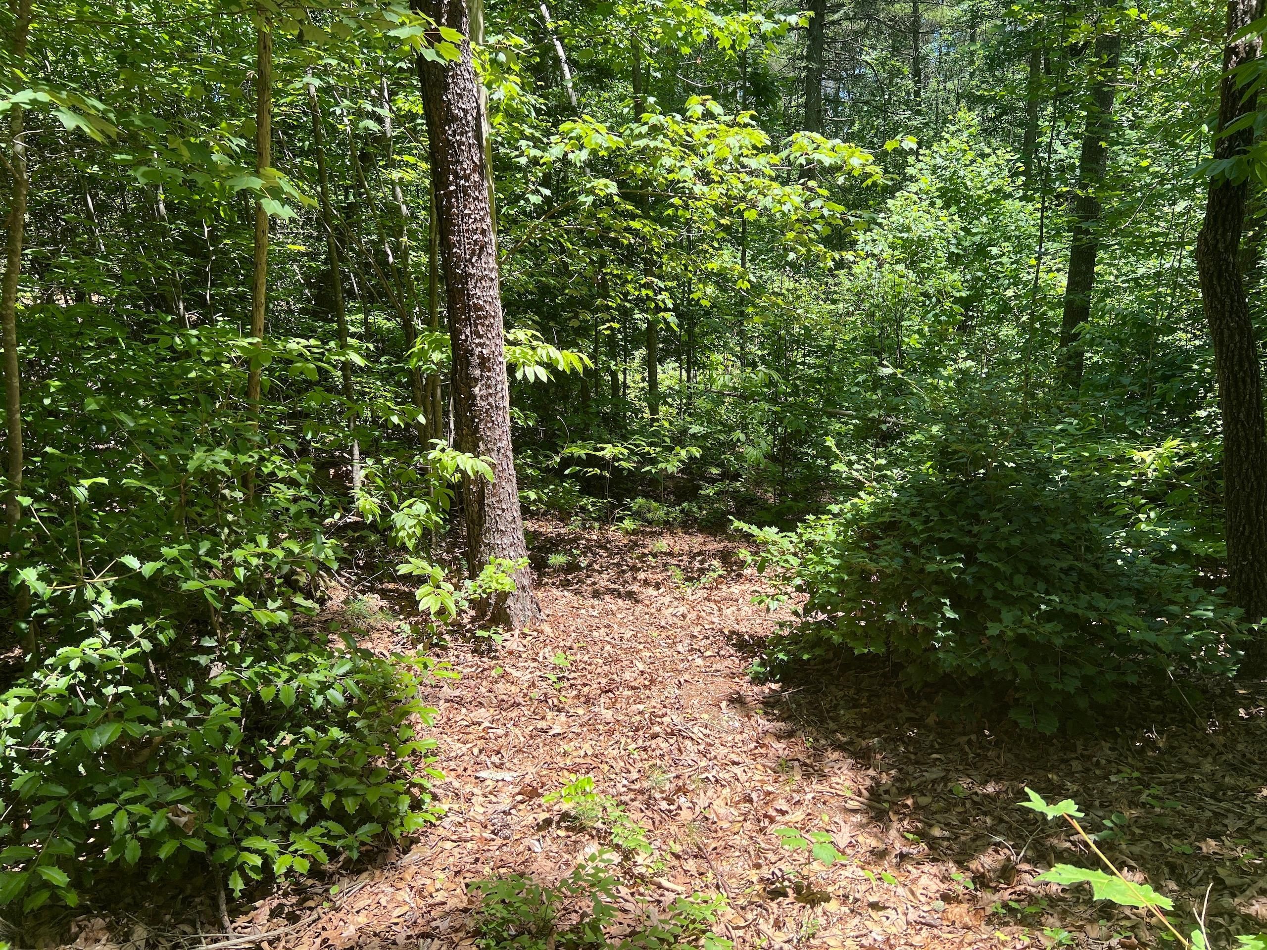 20 acres in Burke County, North Carolina