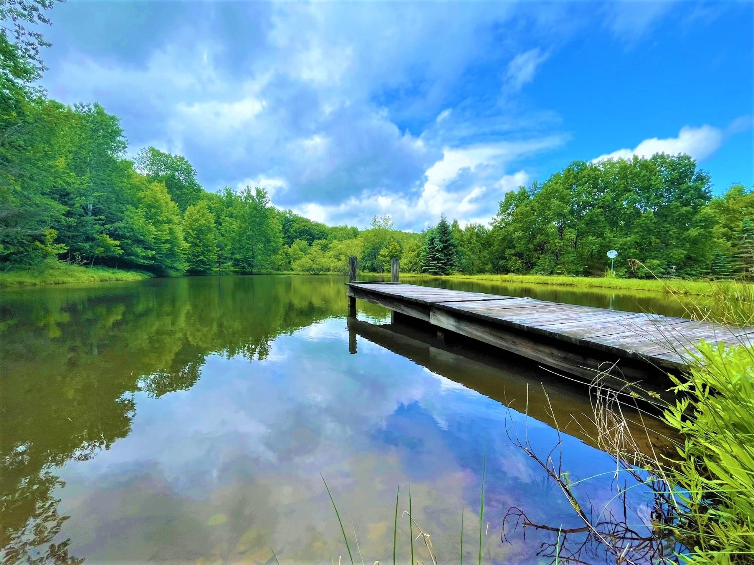 7859 Johnson Hill Road, Wirt, NY 14715