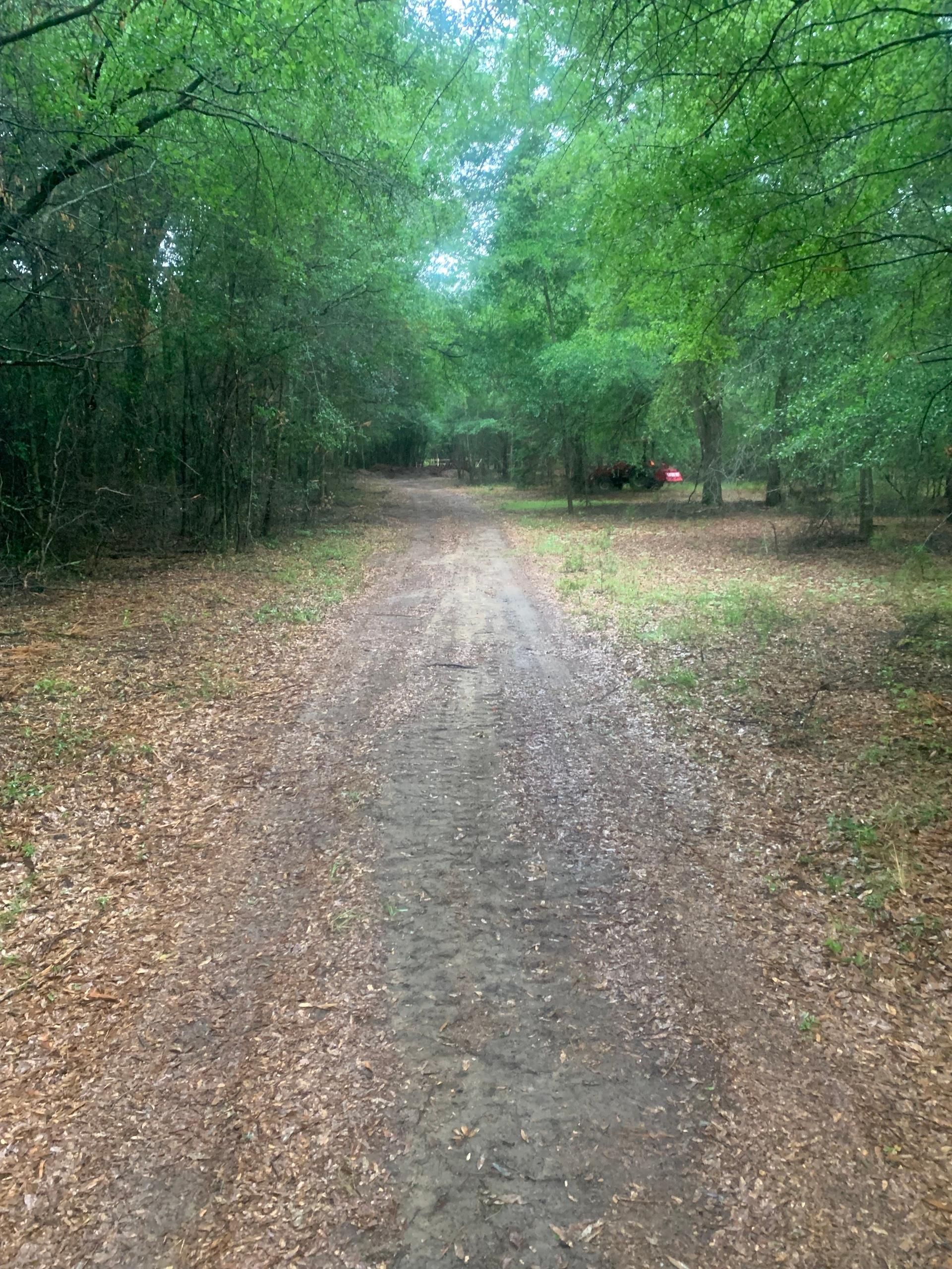 Springtown Road, LotWP001, Bamberg, SC 29003