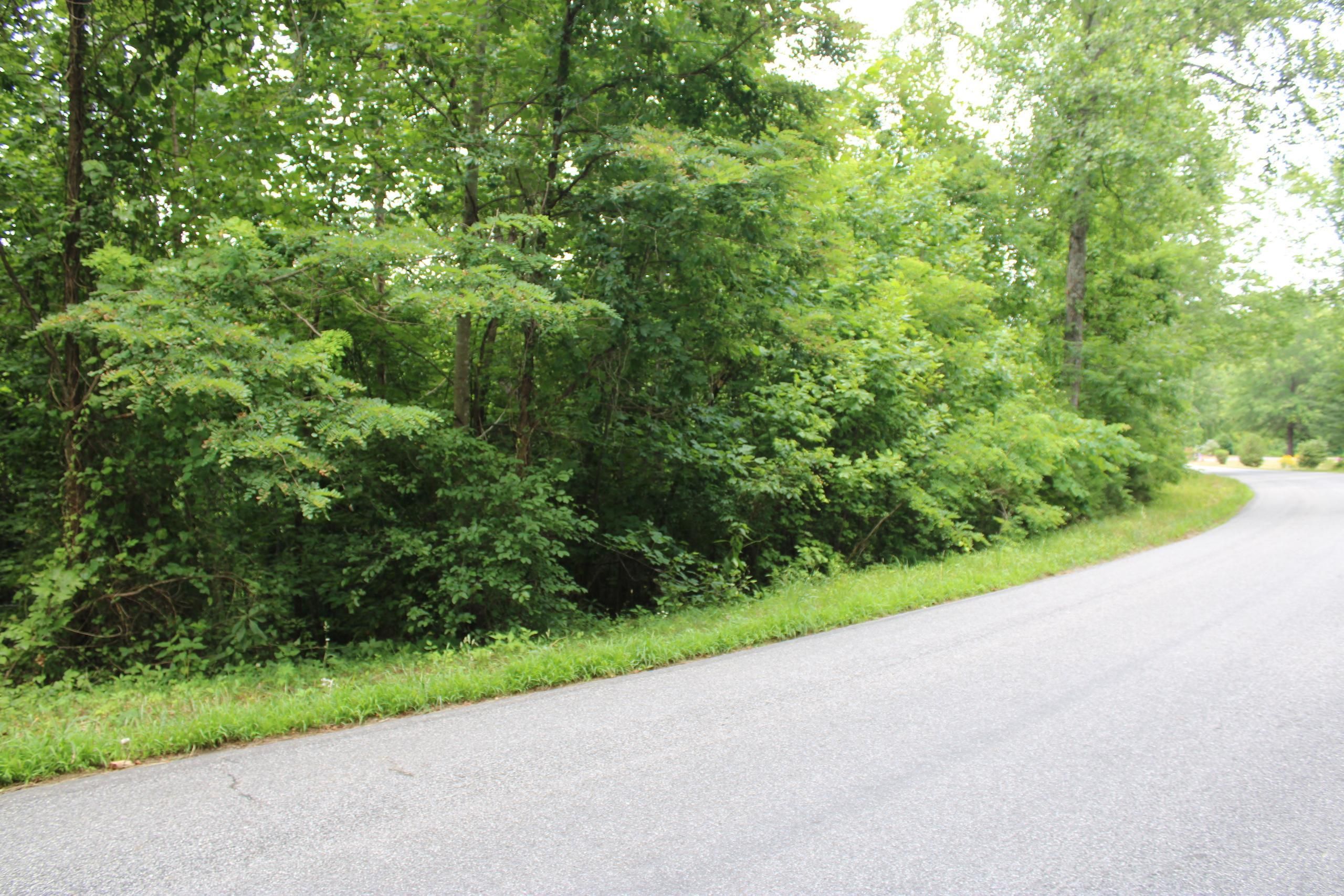 Anthony Drive, LotWP001, Patrick Springs, VA 24133