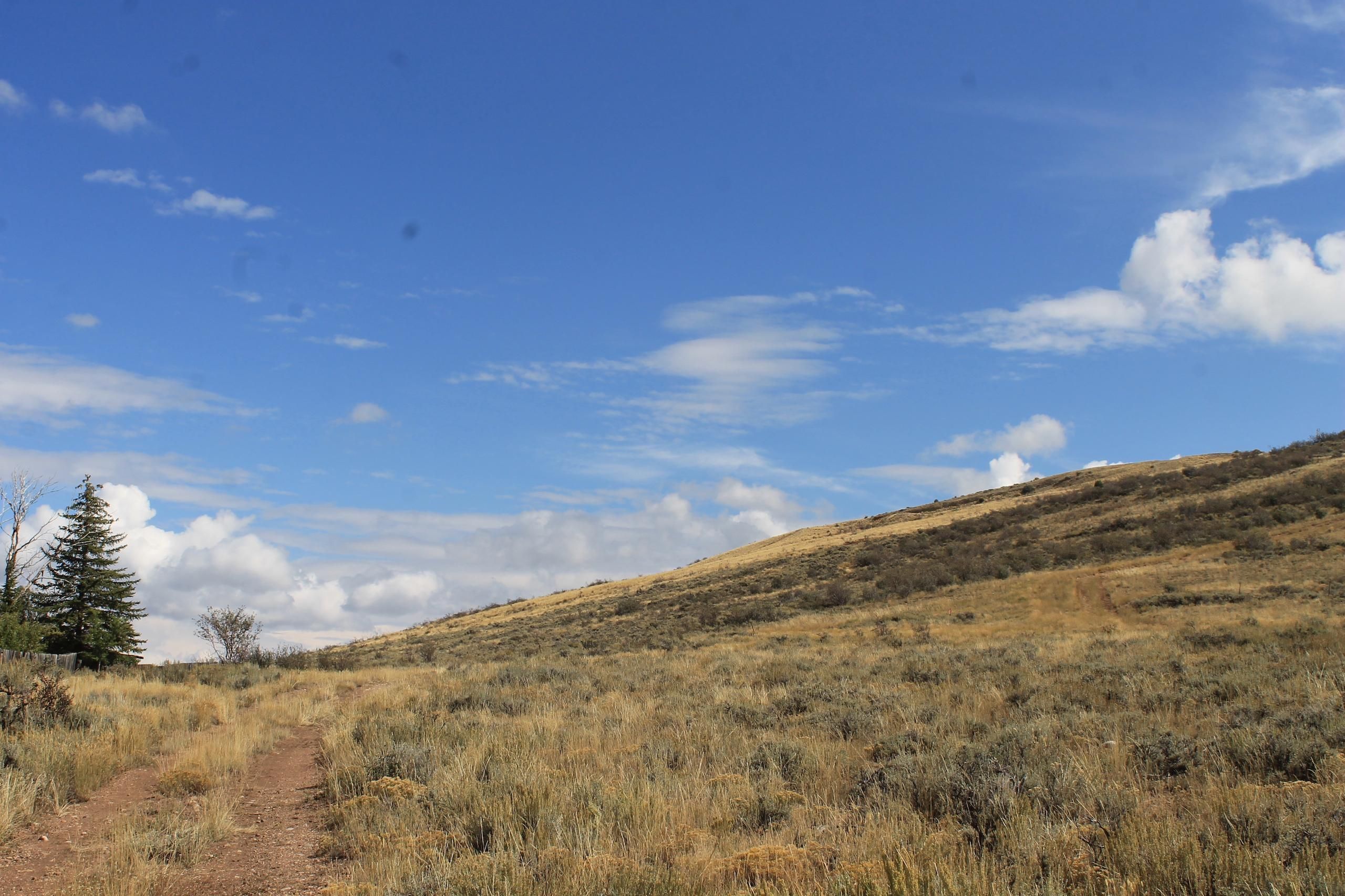 Ywbzillow Wyoming Land 84 - dbgiy3h