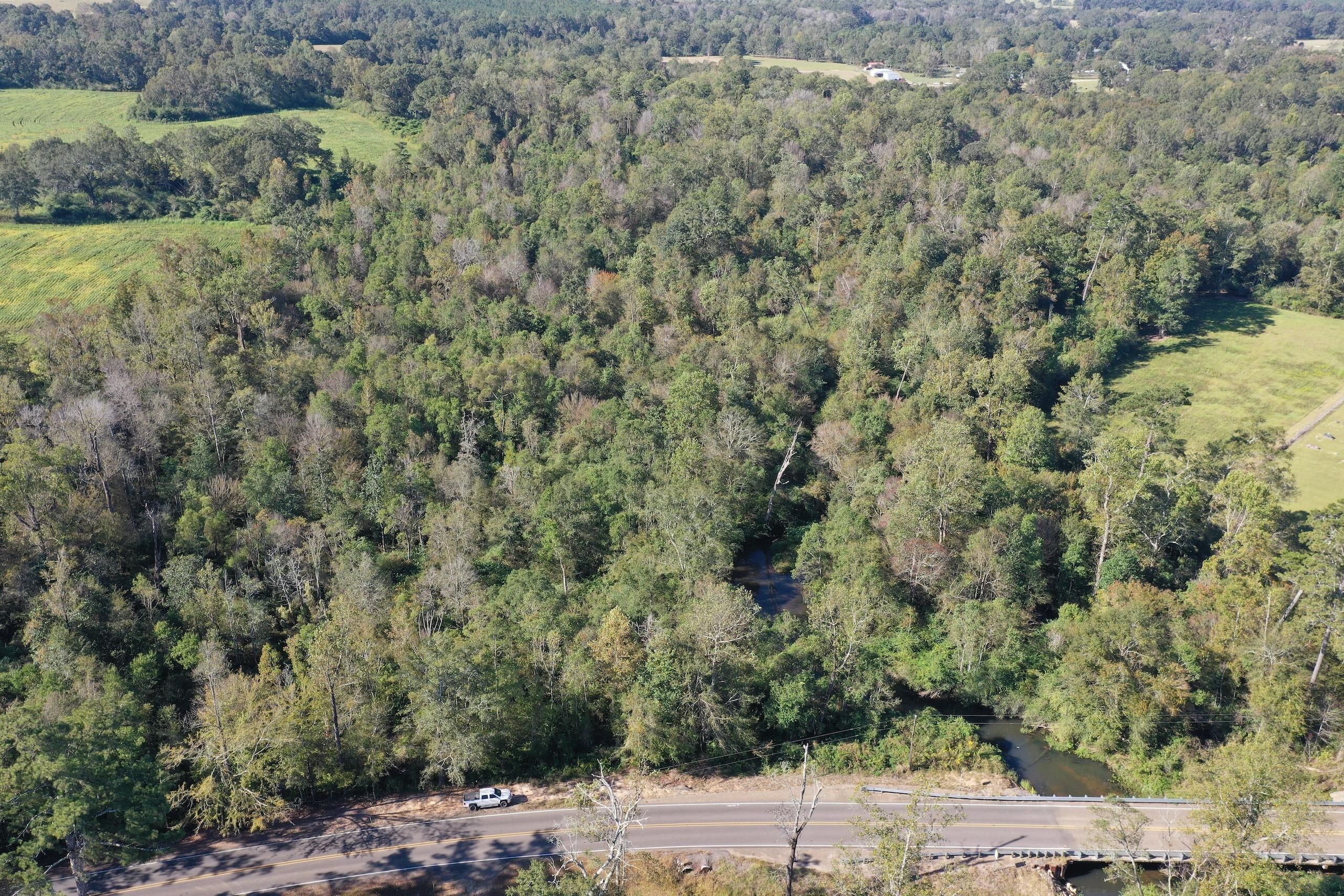 15.68 acres in Tangipahoa Parish, Louisiana