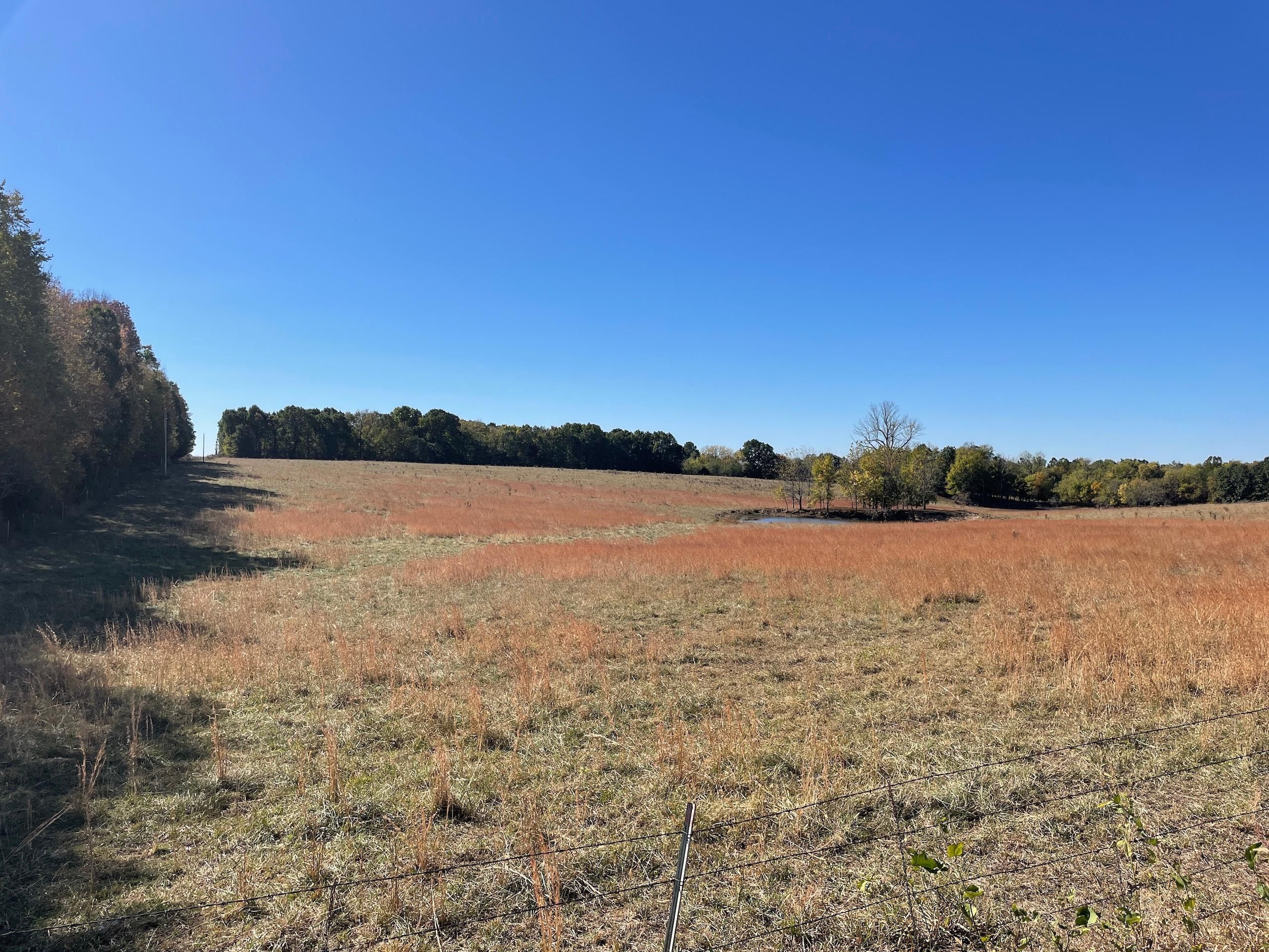 40 acres in Greene County, Missouri