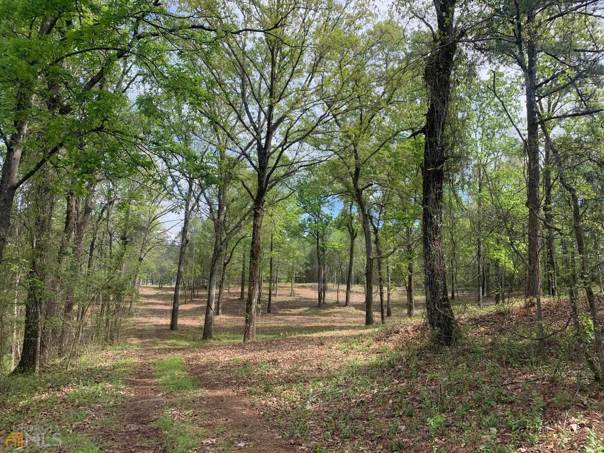 5 acres in Peach County,