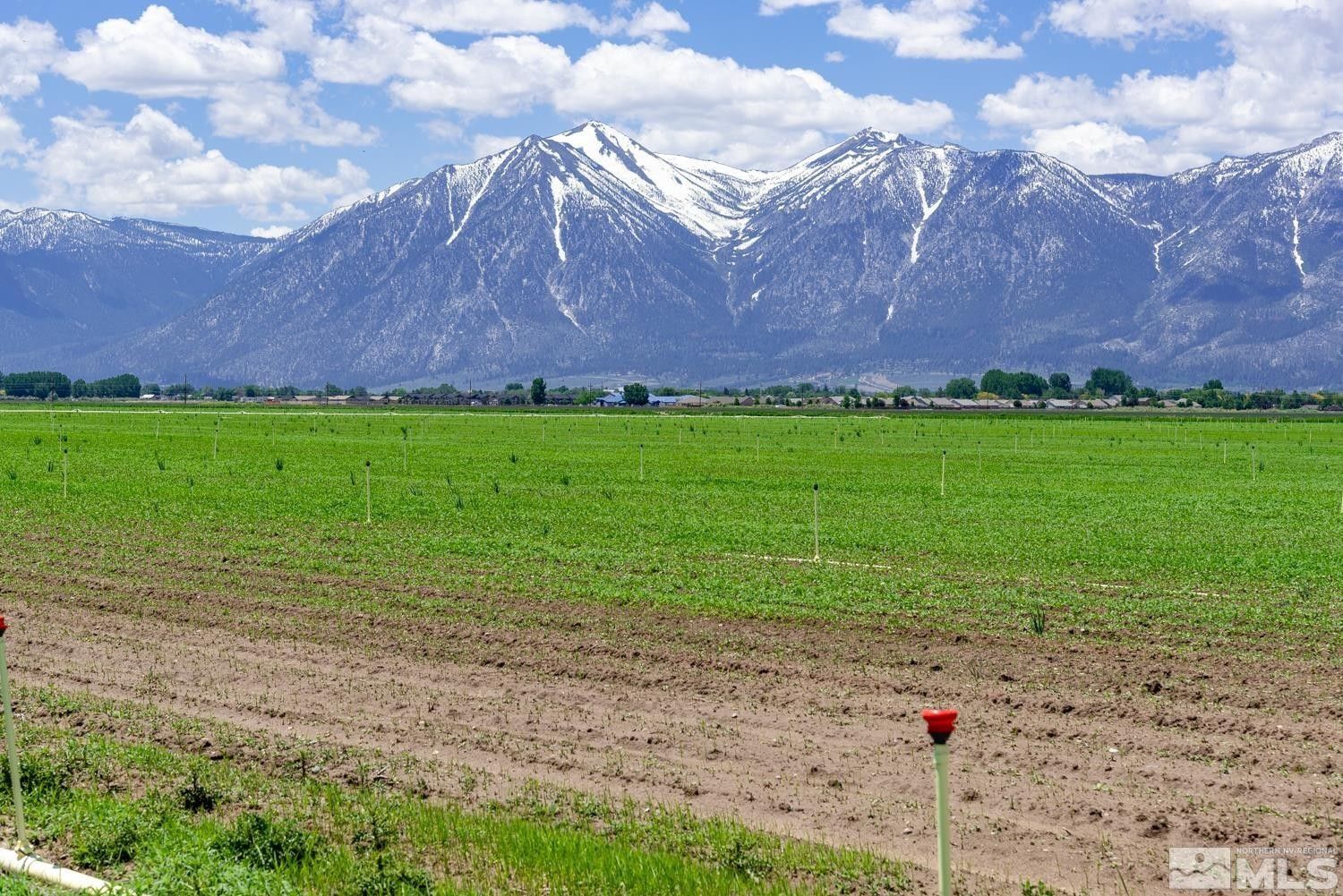 277 acres in Douglas County, Nevada