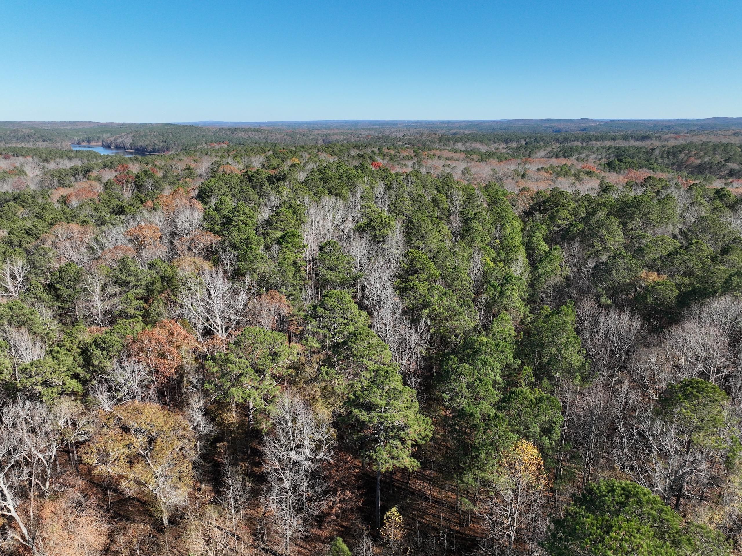68 acres in Randolph County, Alabama