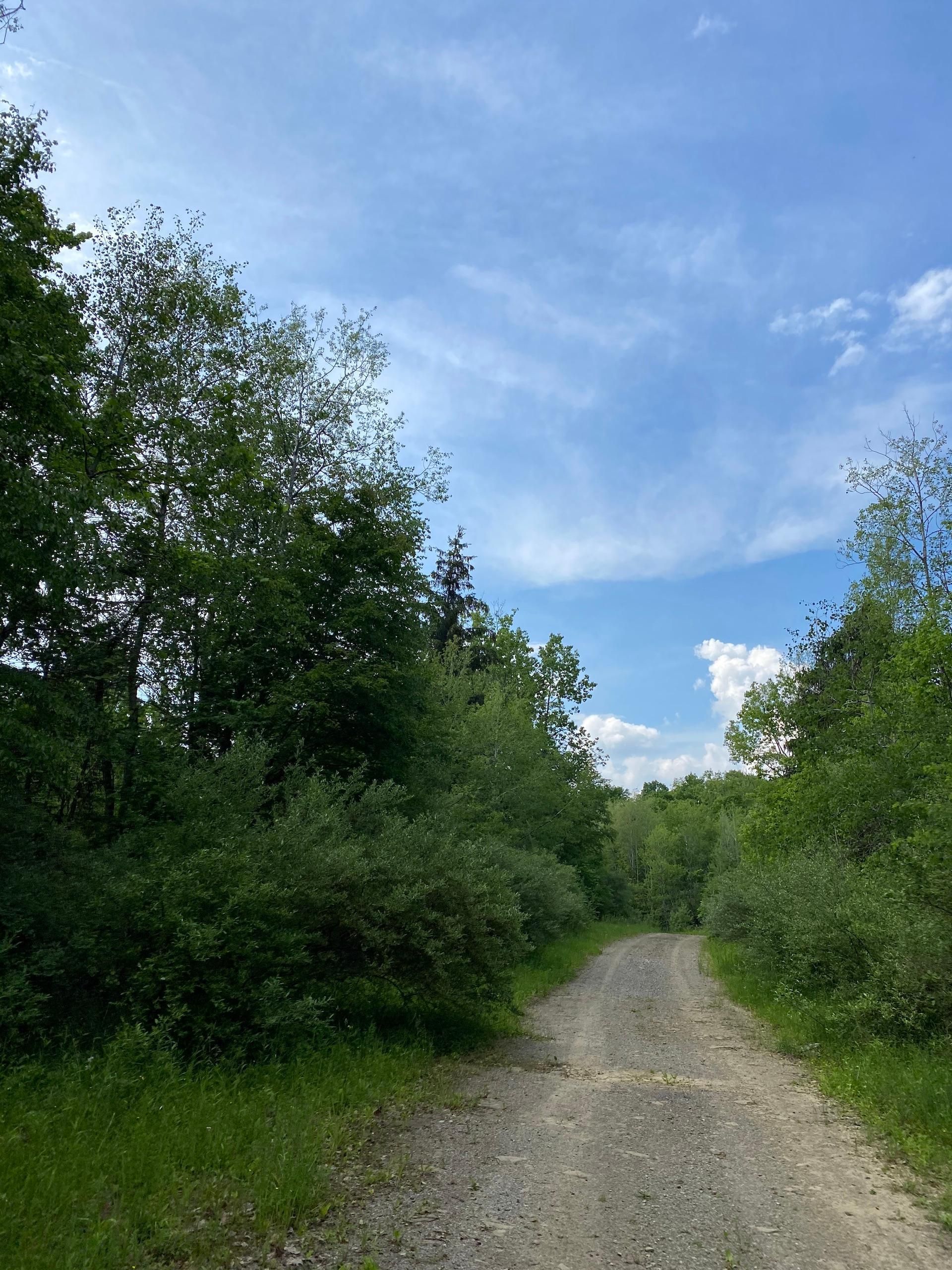 54 acres in Cambria County, Pennsylvania