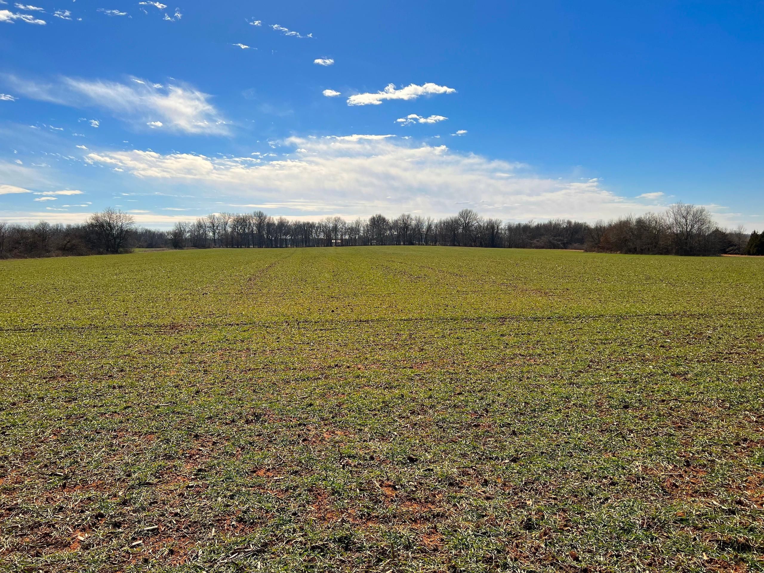 44 acres in Barton County, Missouri