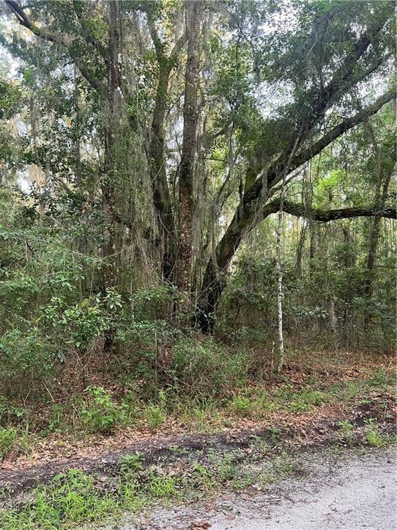 7 acres in McIntosh County,