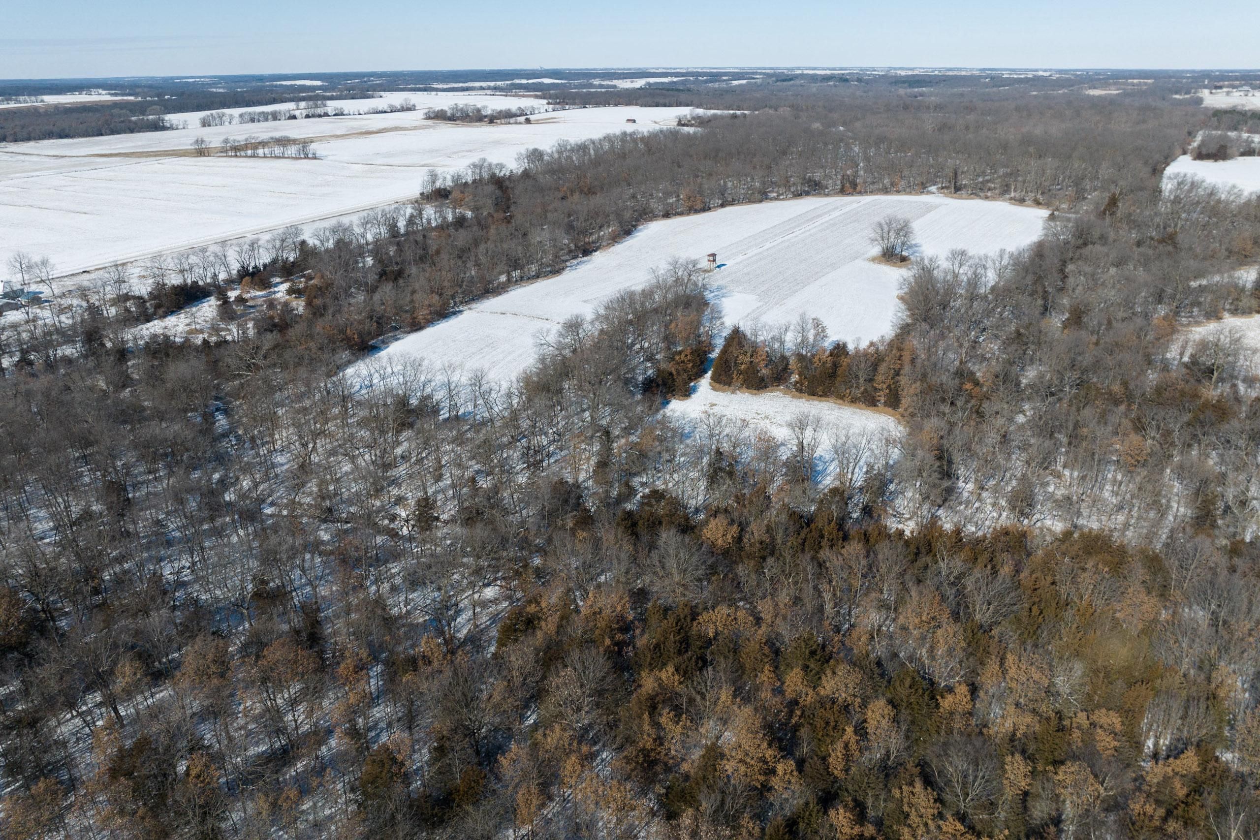 Timber Road, LotWP001, Stockport, IA 52651