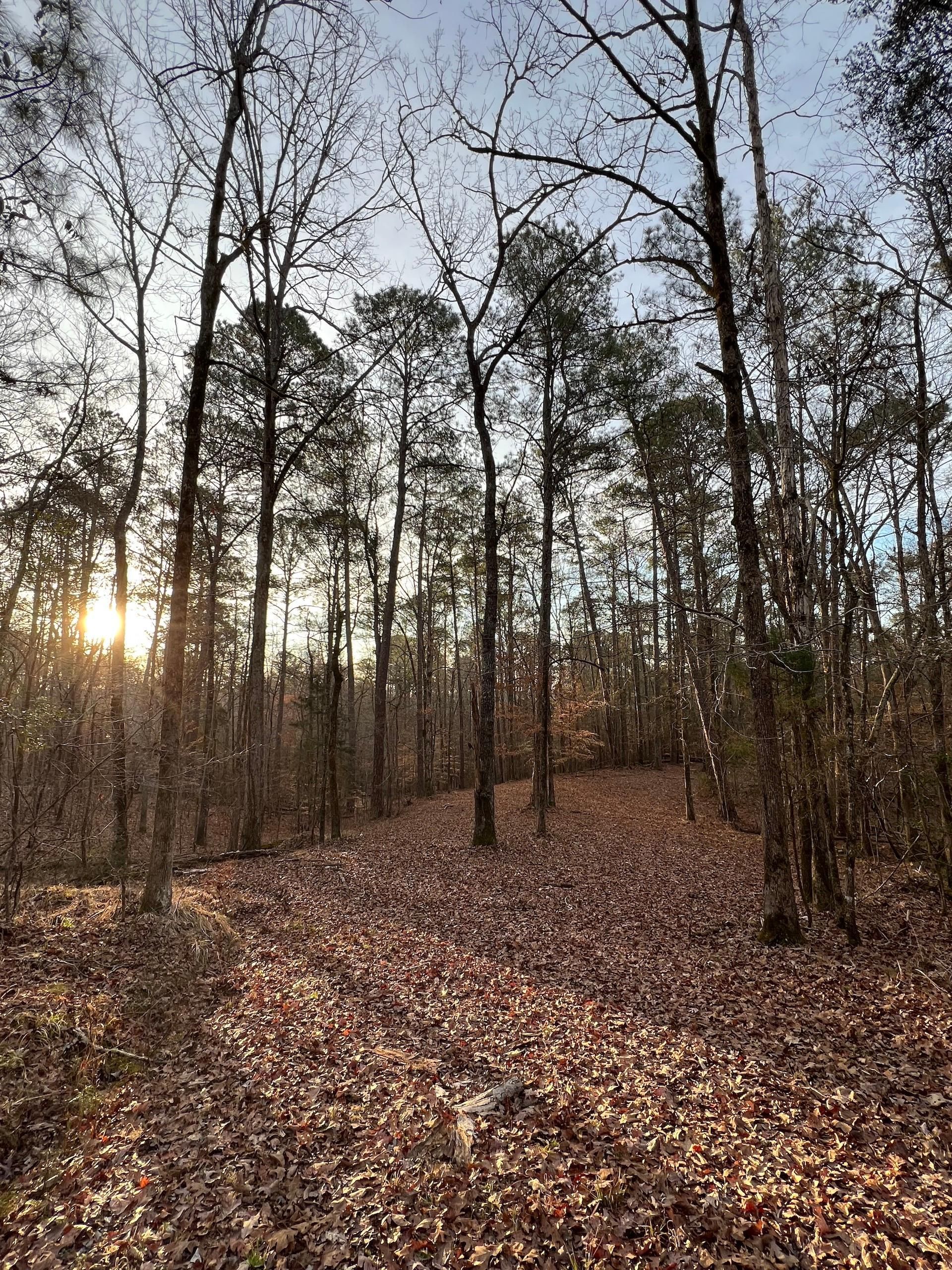 15 acres in Tuscaloosa County, Alabama