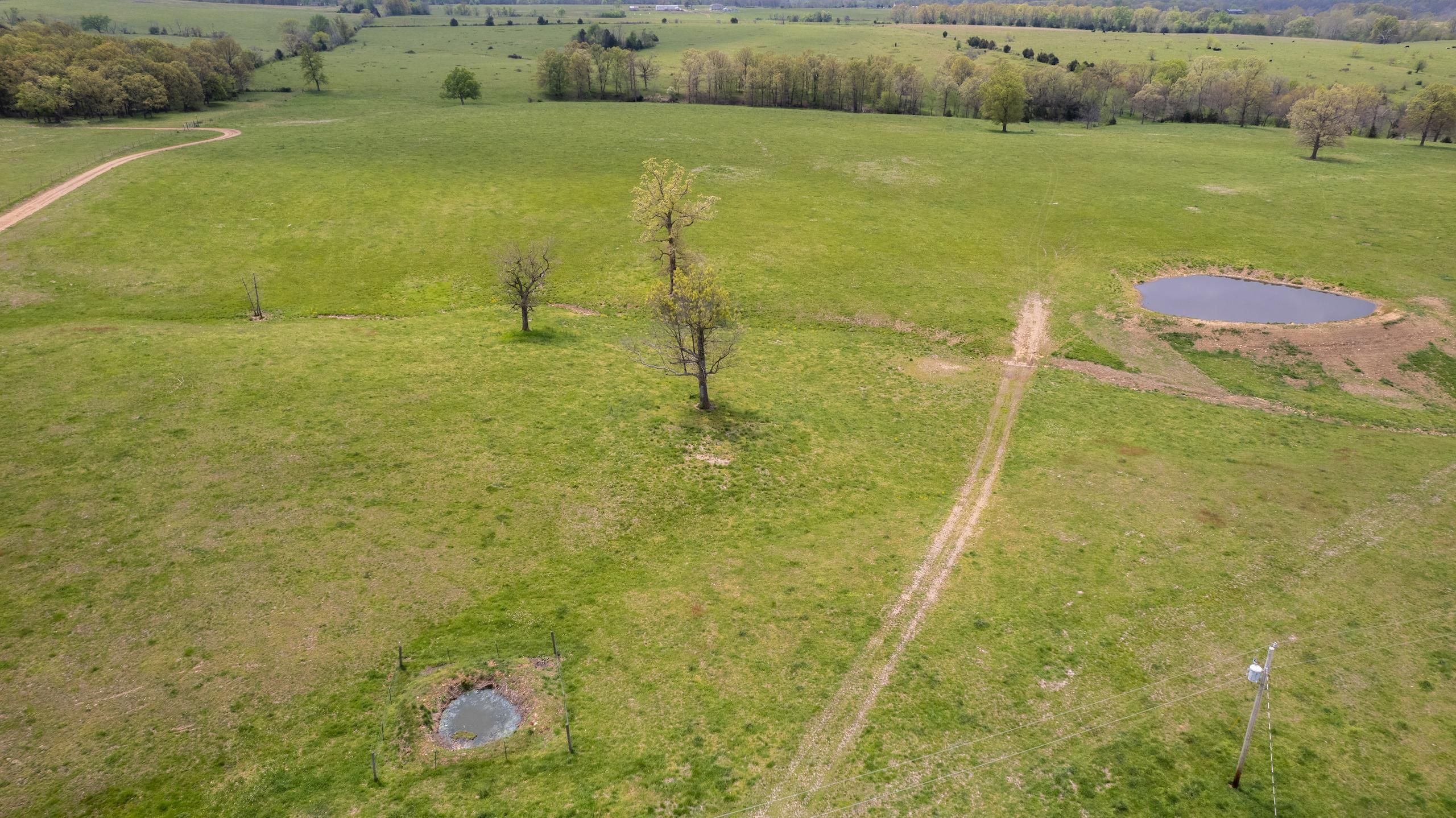 120 acres in Laclede County, Missouri