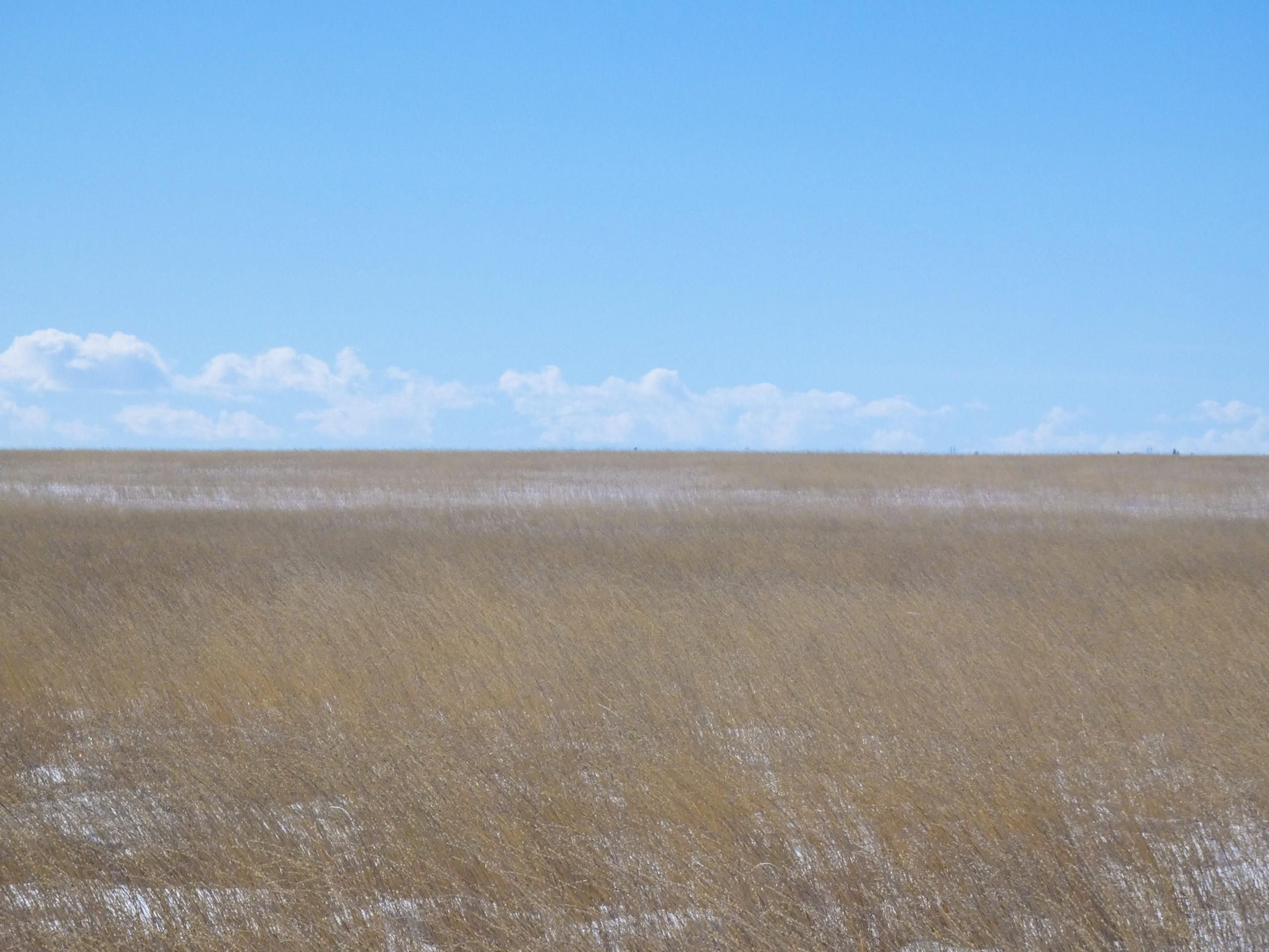 724 acres in Roosevelt County, Montana