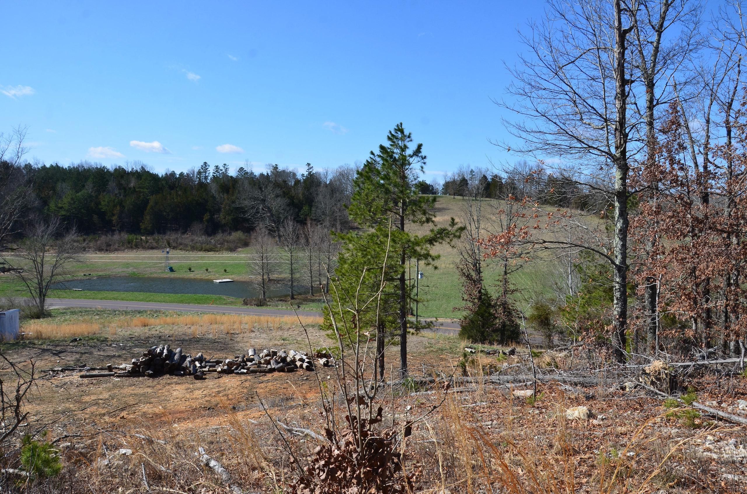 State Hwy B, Lot WP001, Ellington, MO 63638