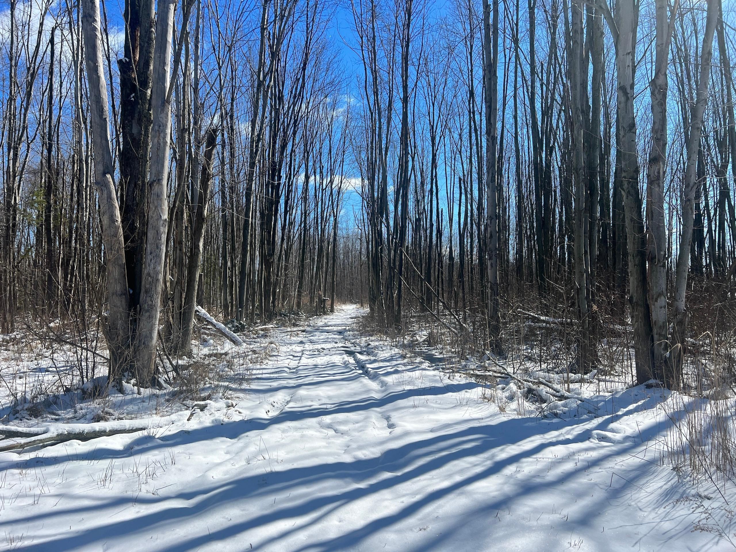 50 acres in Lake County, Ohio