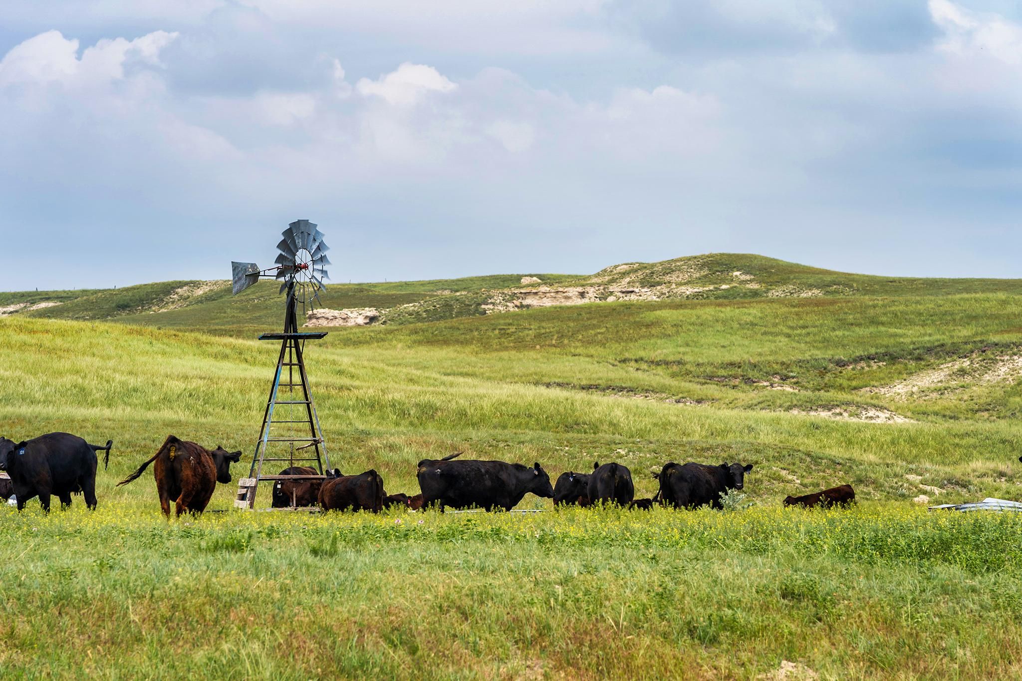 958.4 acres in Box Butte County, Nebraska