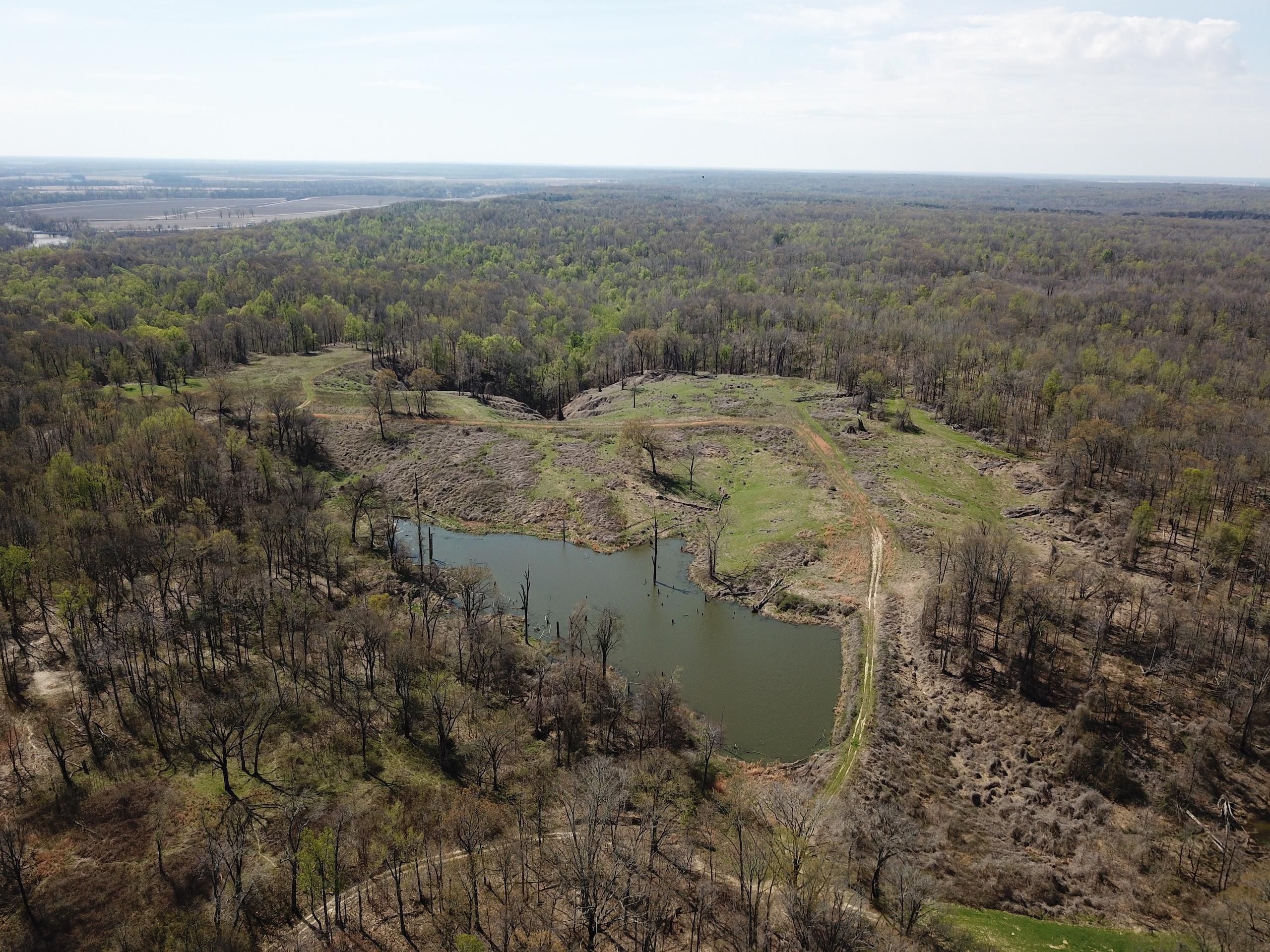 100 acres in Saint Francis County, Arkansas