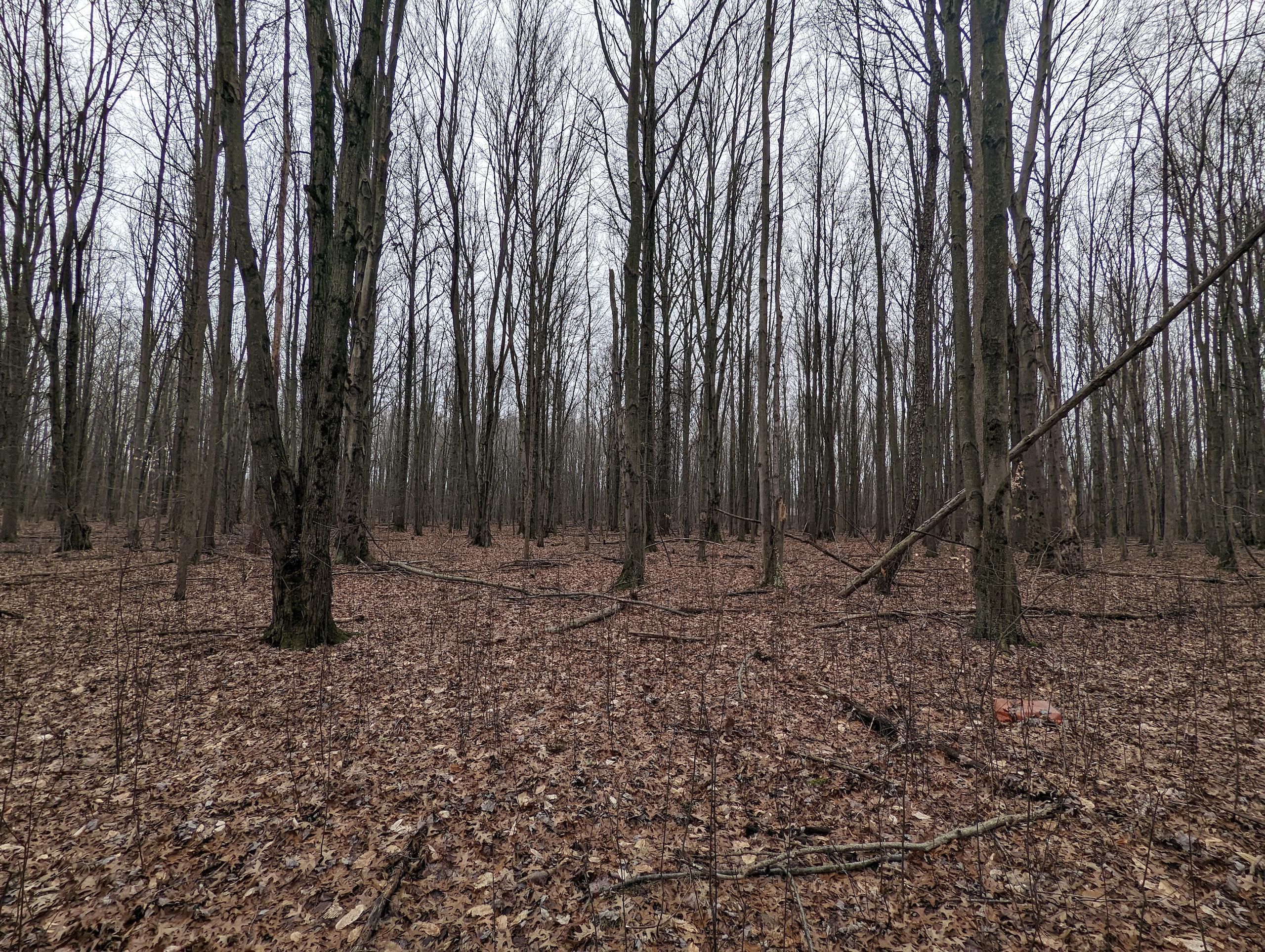 30 acres in Ashtabula County, Ohio