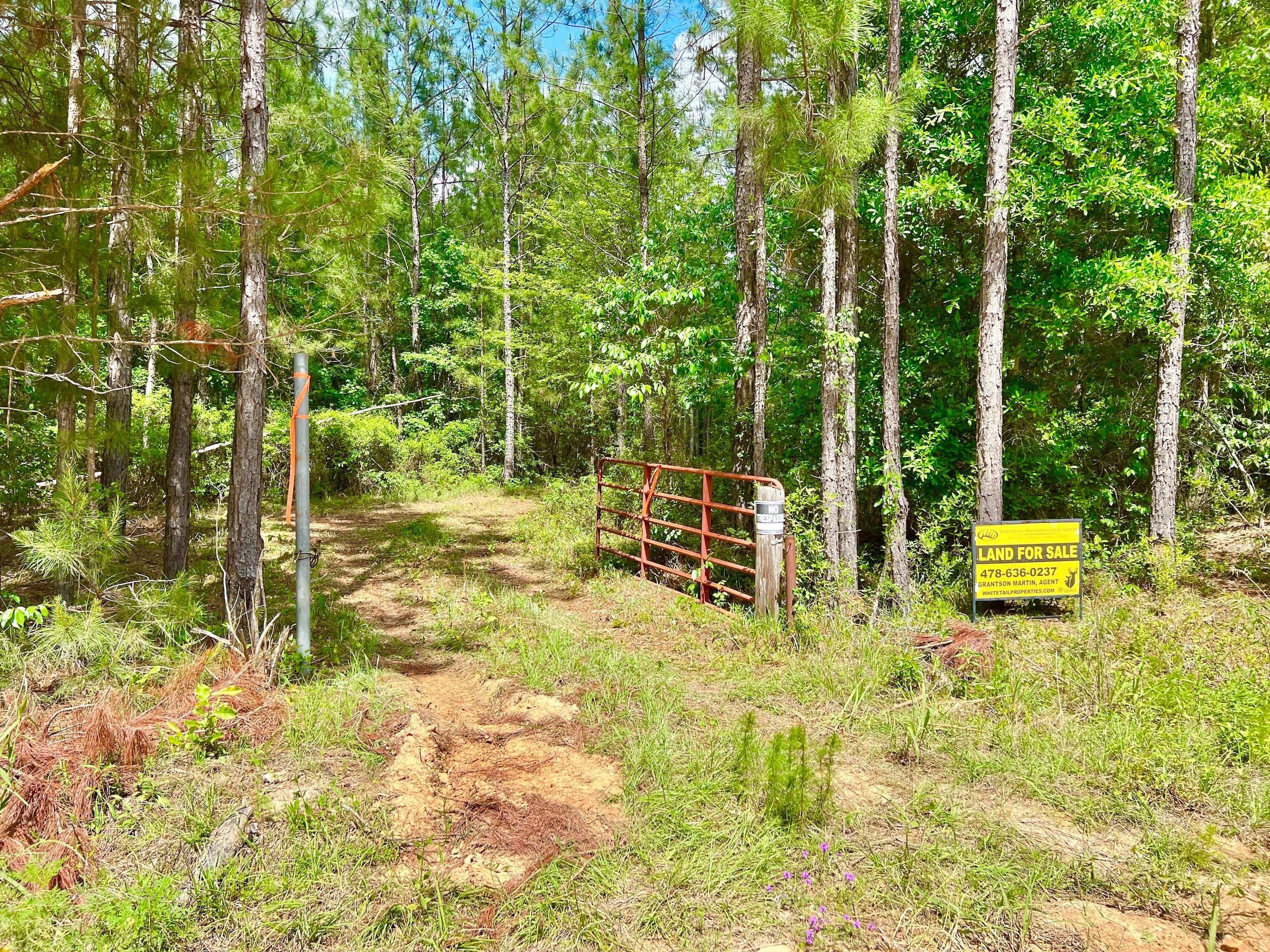 101 acres in Telfair County,