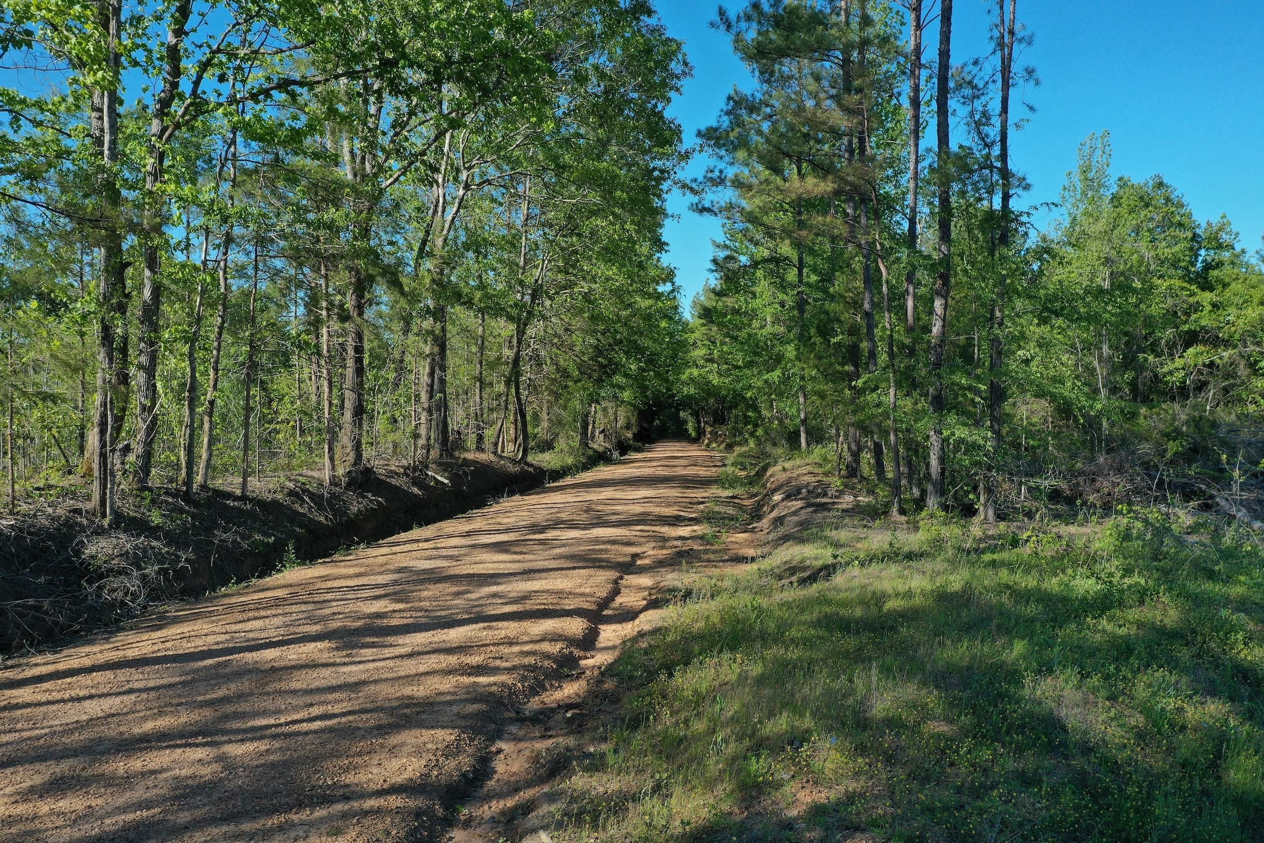 Pisgah Road, LotWP001, Weir, MS 39772