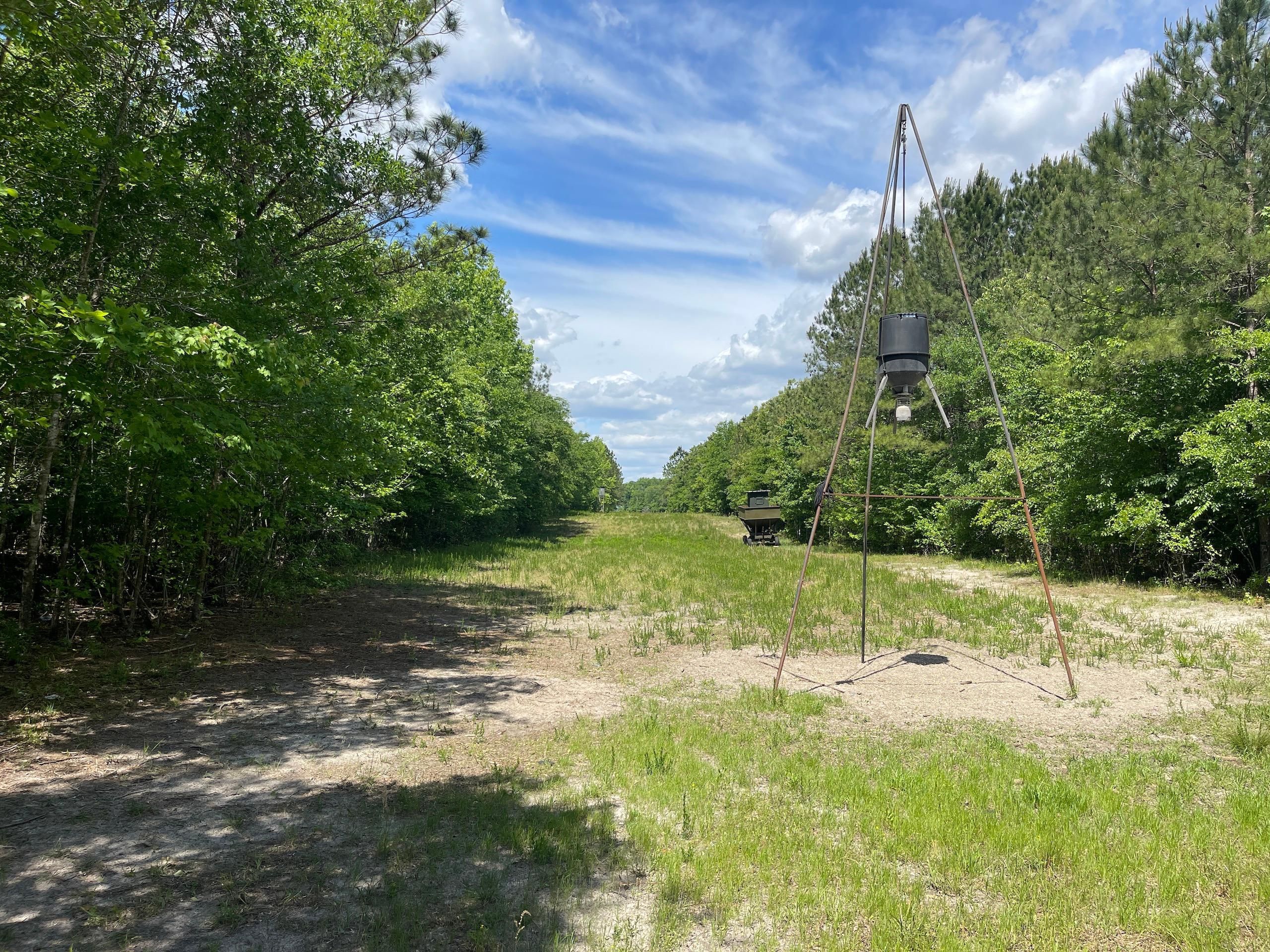 38-11-acres-in-pitt-county-north-carolina