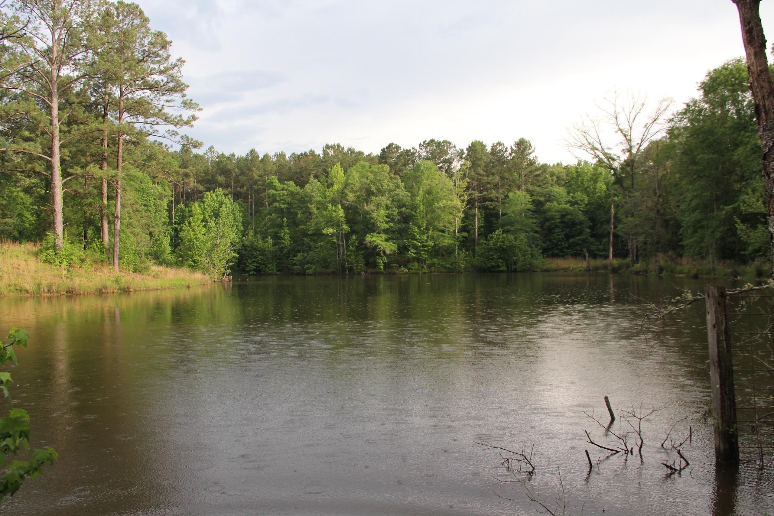 331 acres in Franklin County, Mississippi