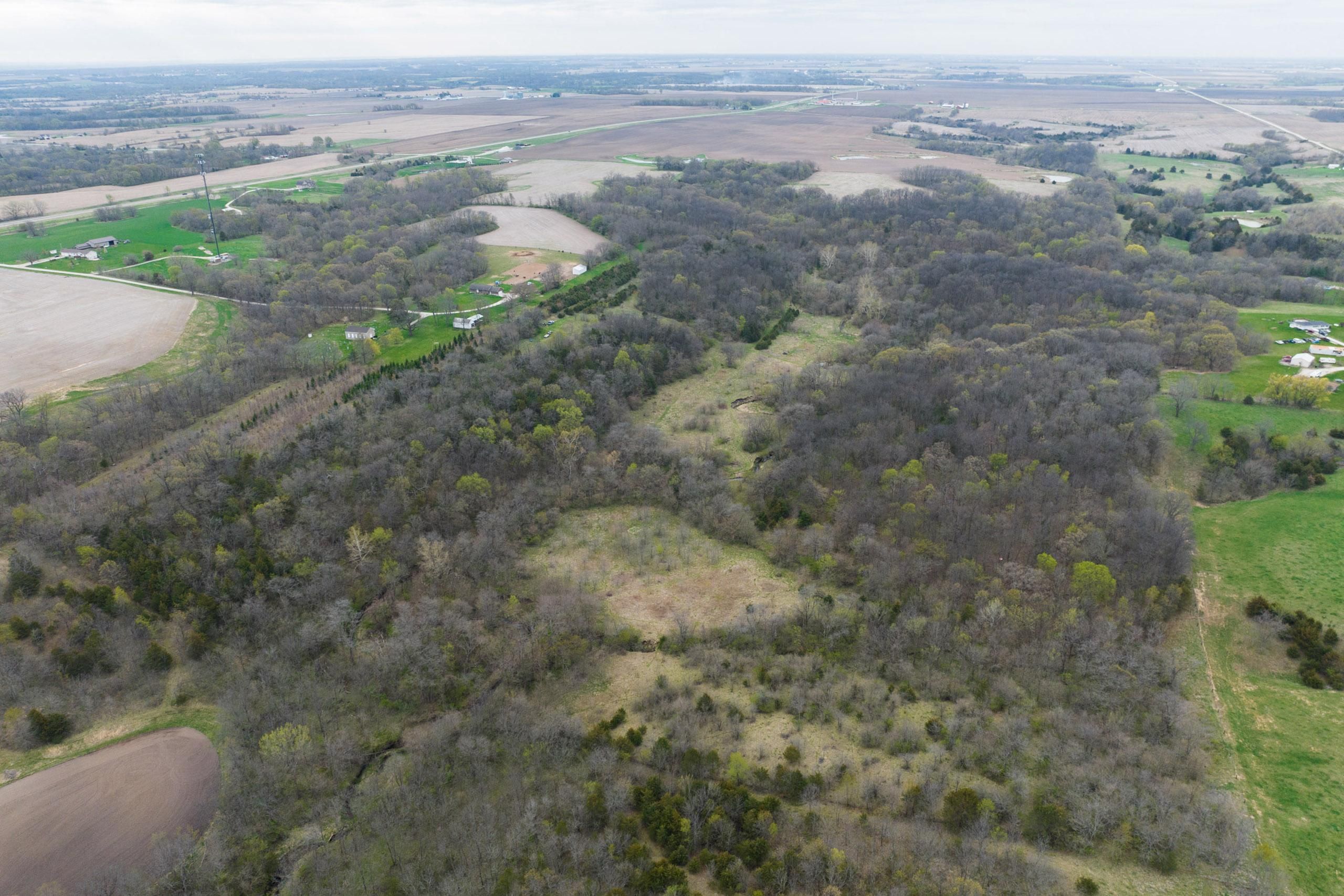 81 acres in Louisa County, Iowa