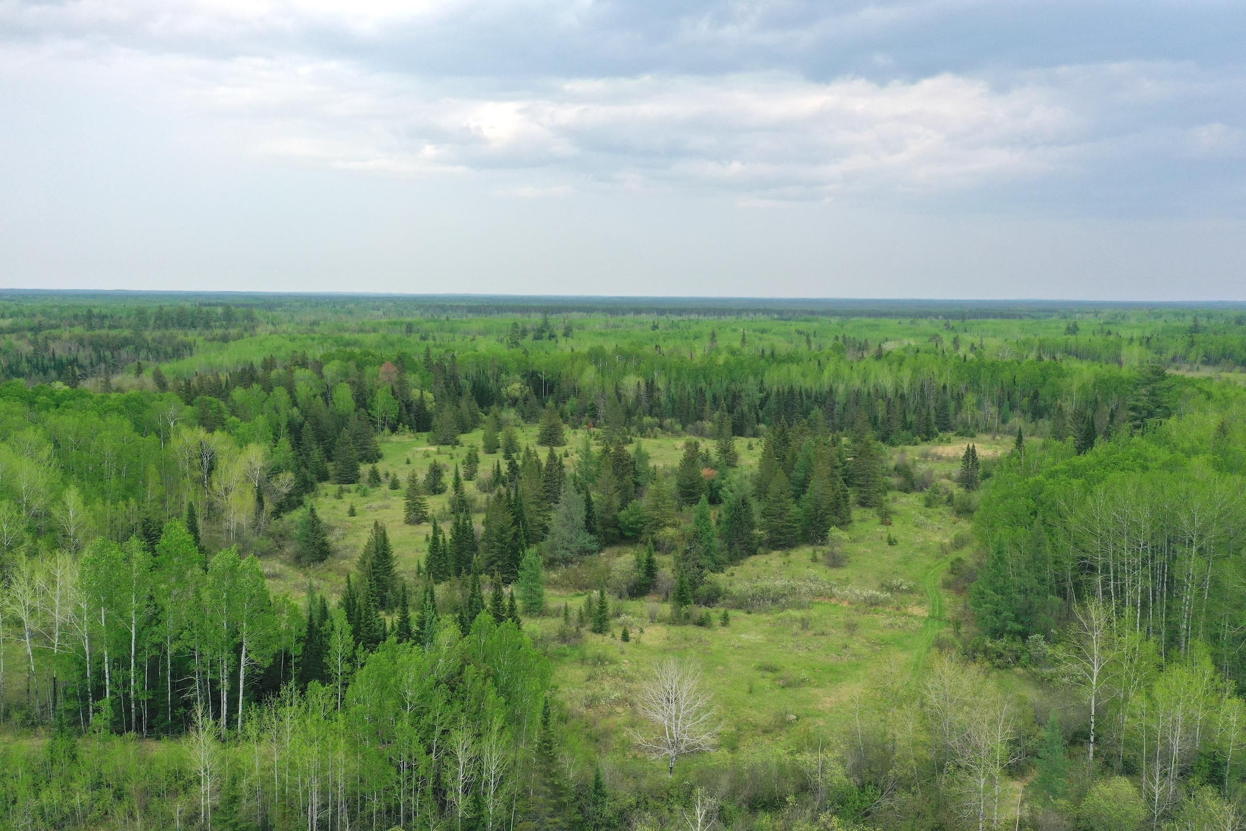 30 acres in Koochiching County, Minnesota