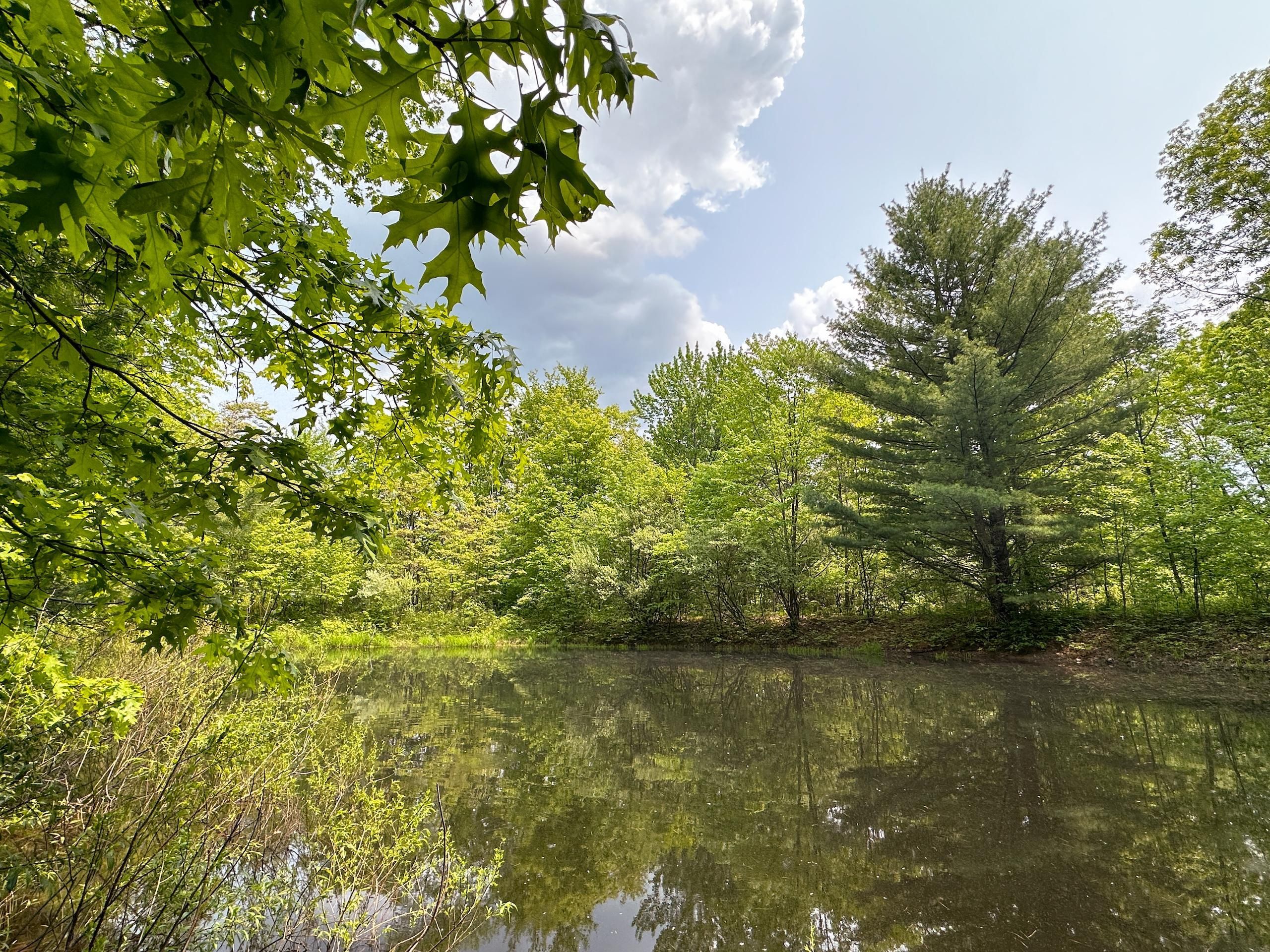 120 acres in Steuben County, New York