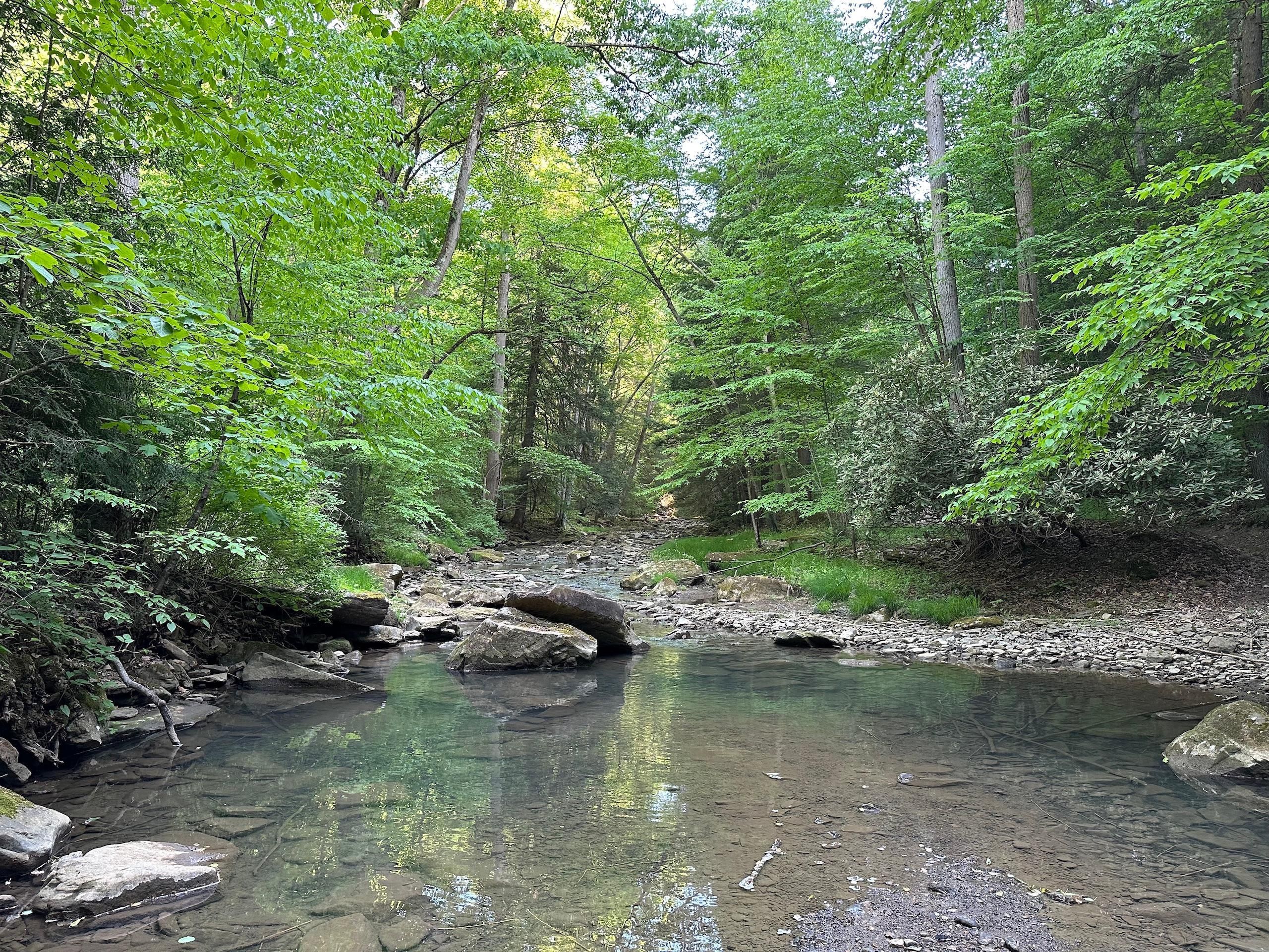 258 acres in Armstrong County, Pennsylvania