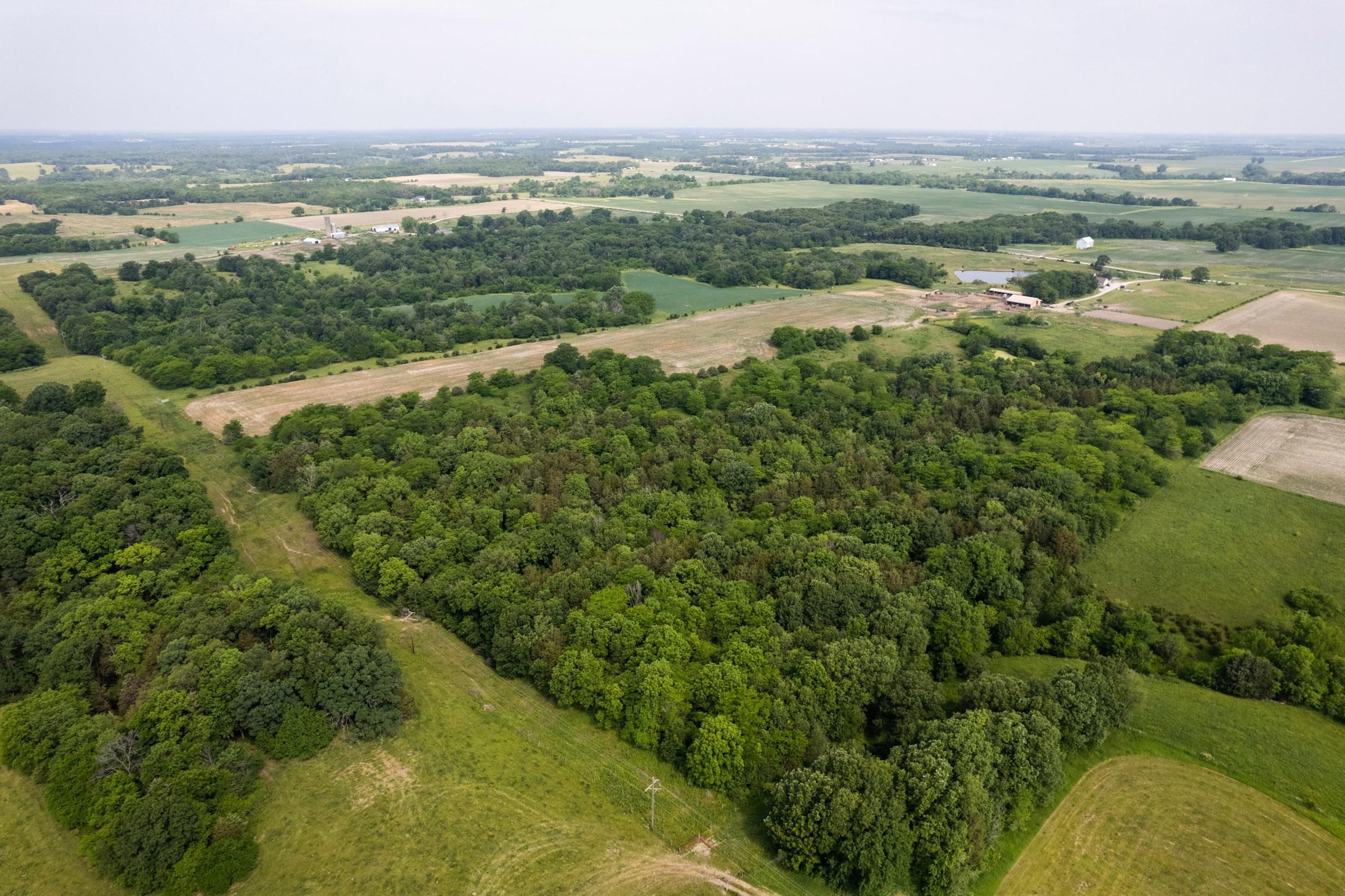 158 acres in Van Buren County, Iowa