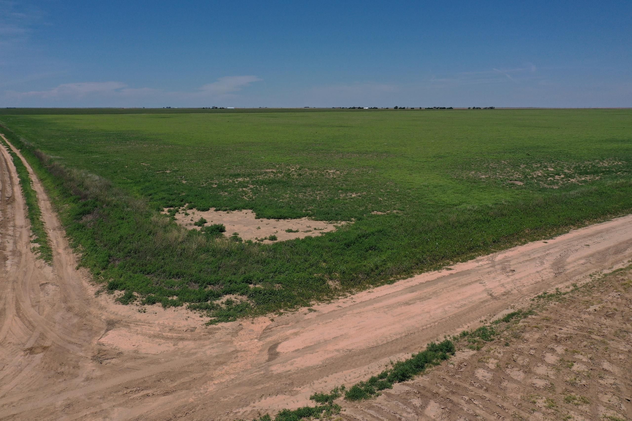 80 acres in Cimarron County, Oklahoma