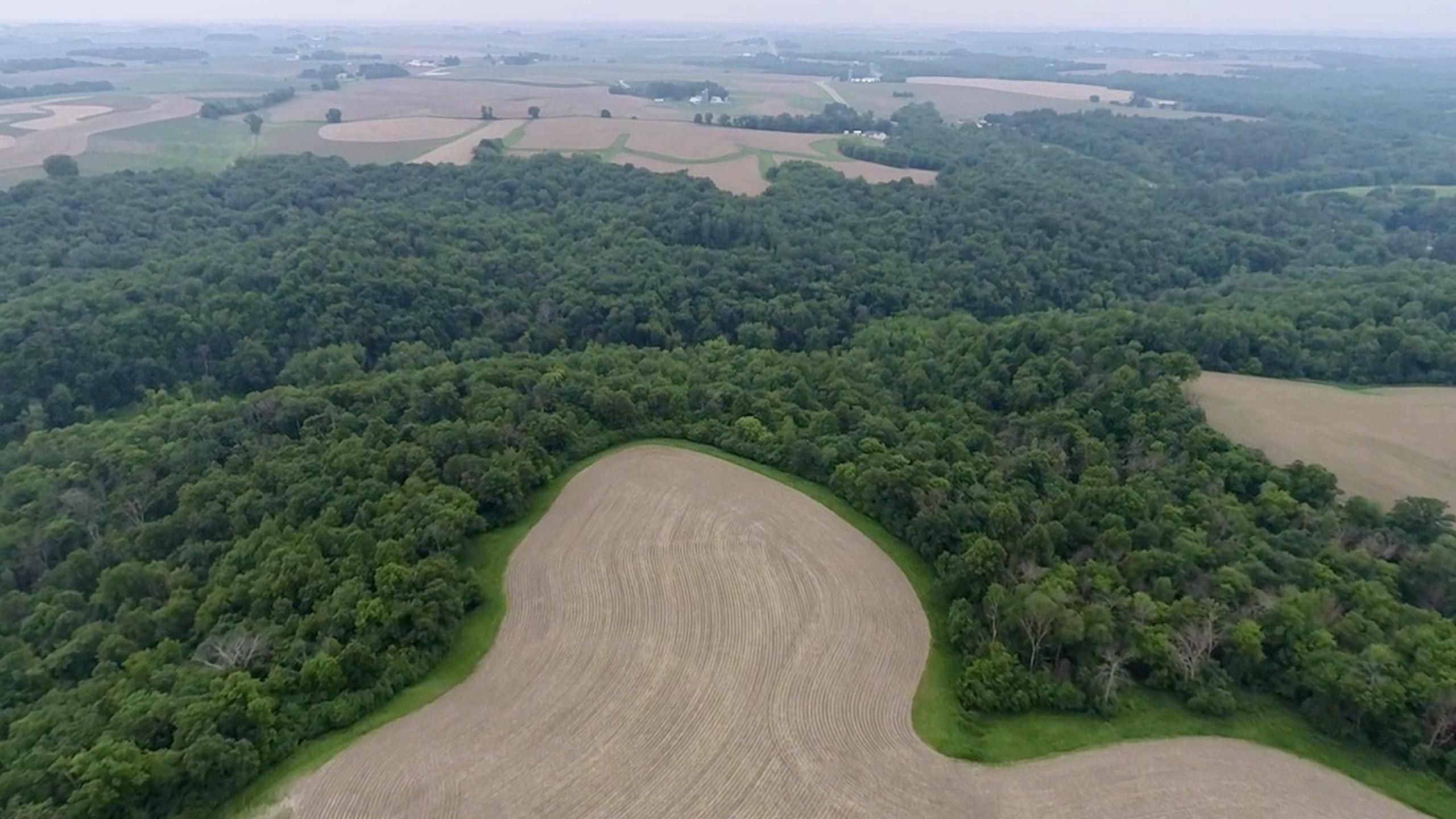 89.73 acres in Wabasha County, Minnesota