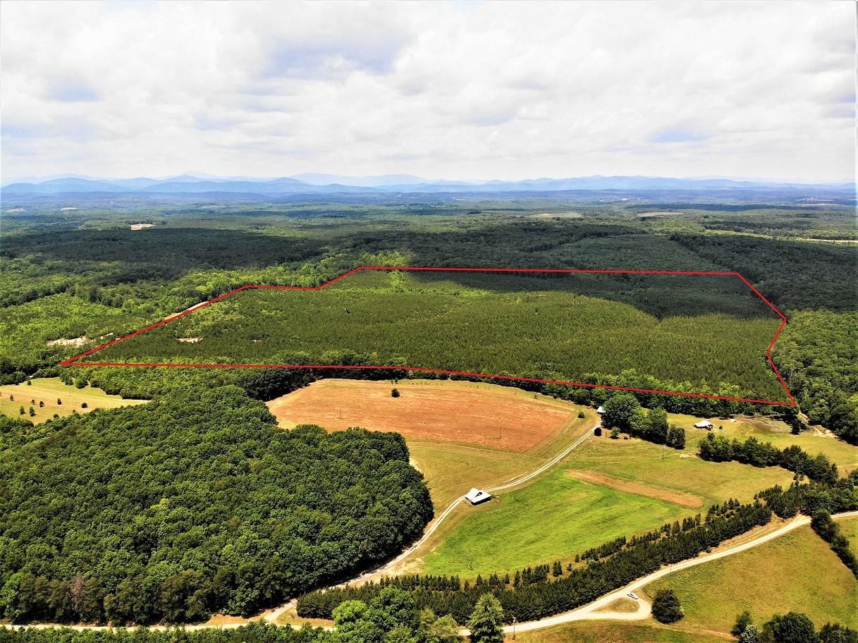 142 acres in Buckingham County, Virginia