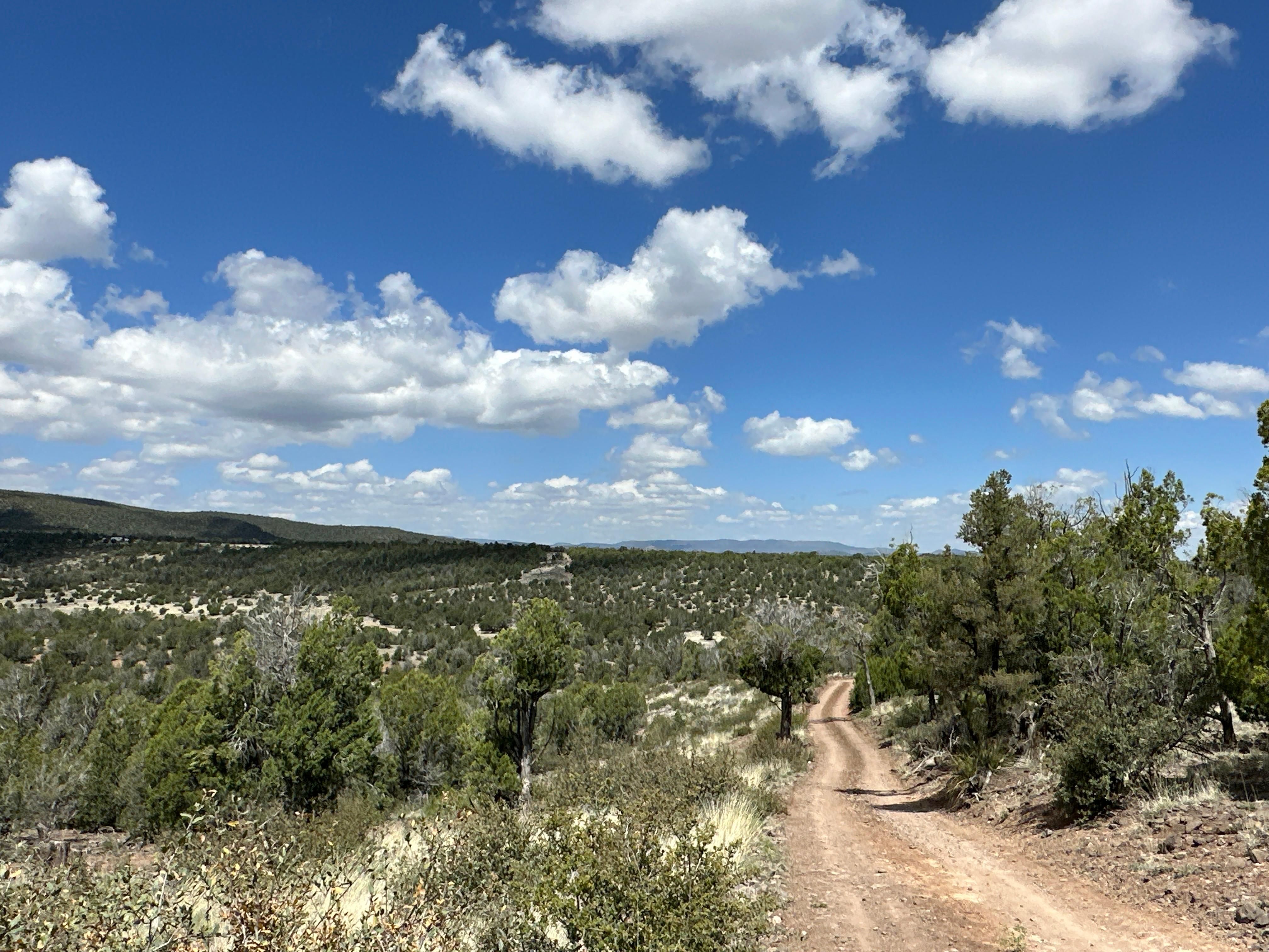 6,736 acres in Prescott, AZ, 86305