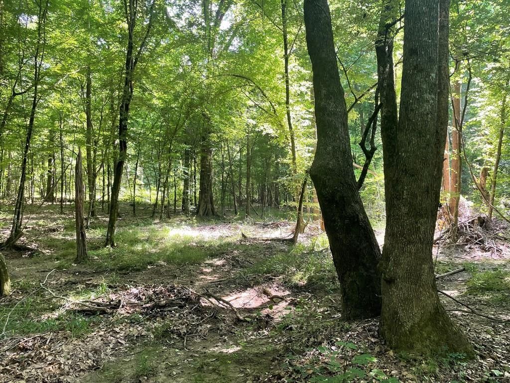27 acres in Madison County, Mississippi