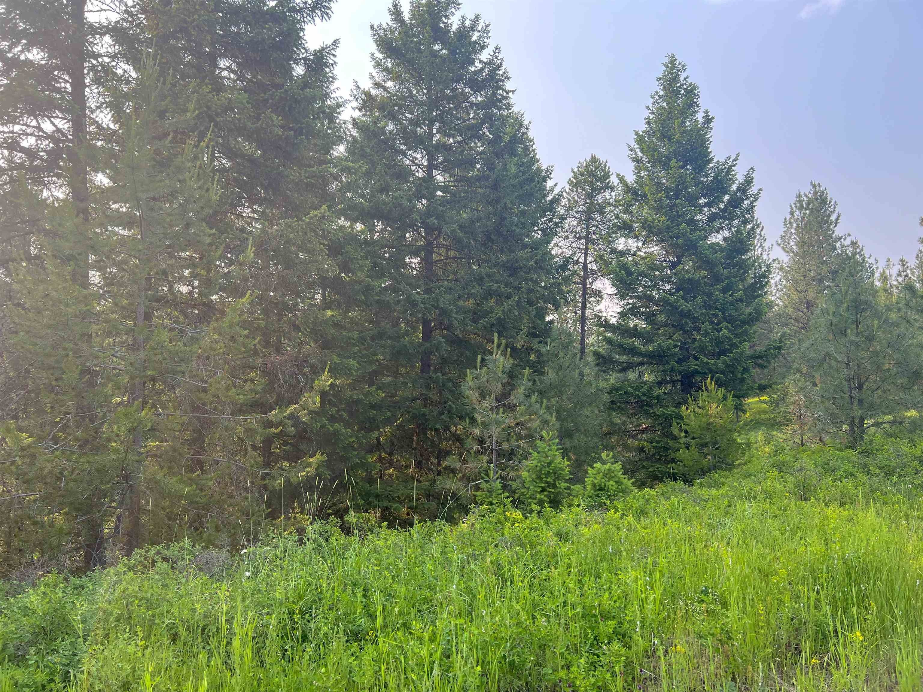 5 acres in Stevens County, Washington