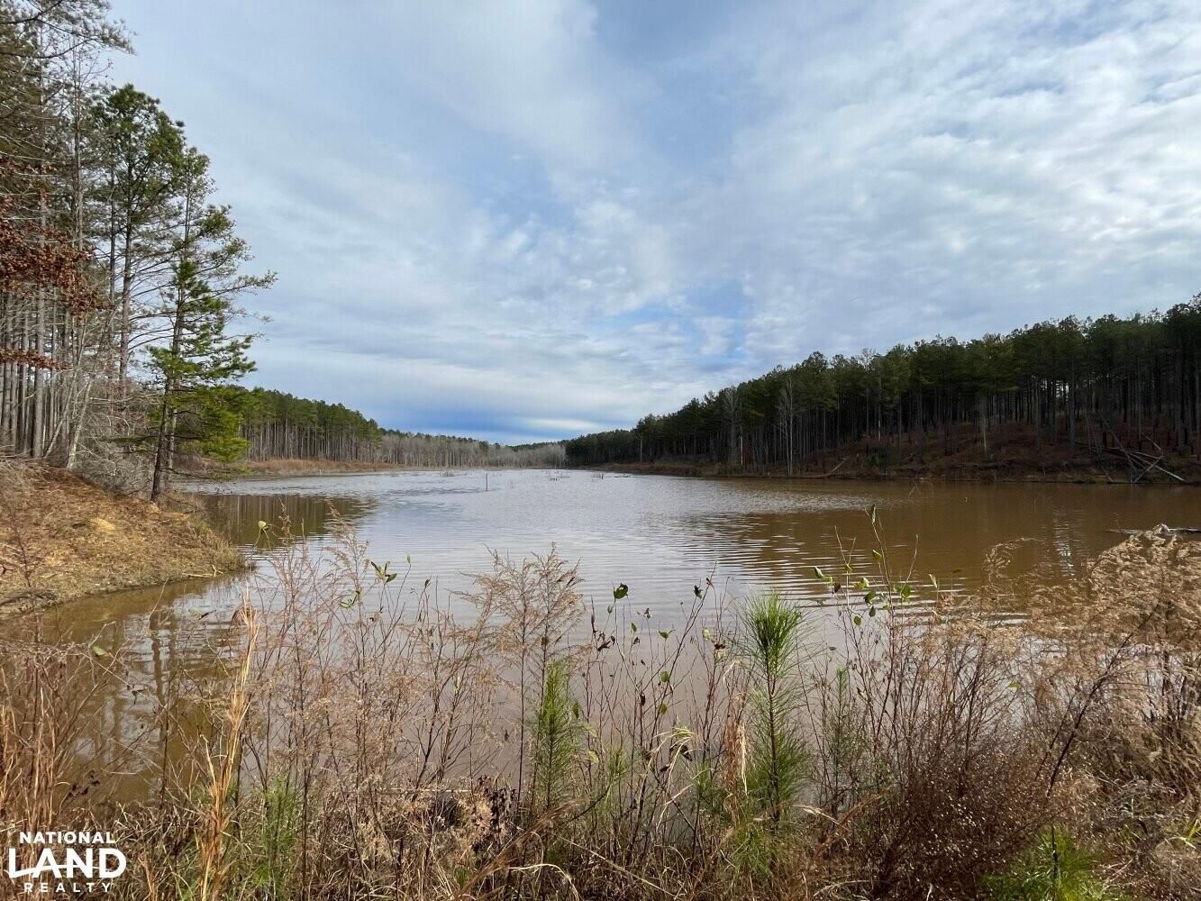 370 acres in Lamar County, Alabama