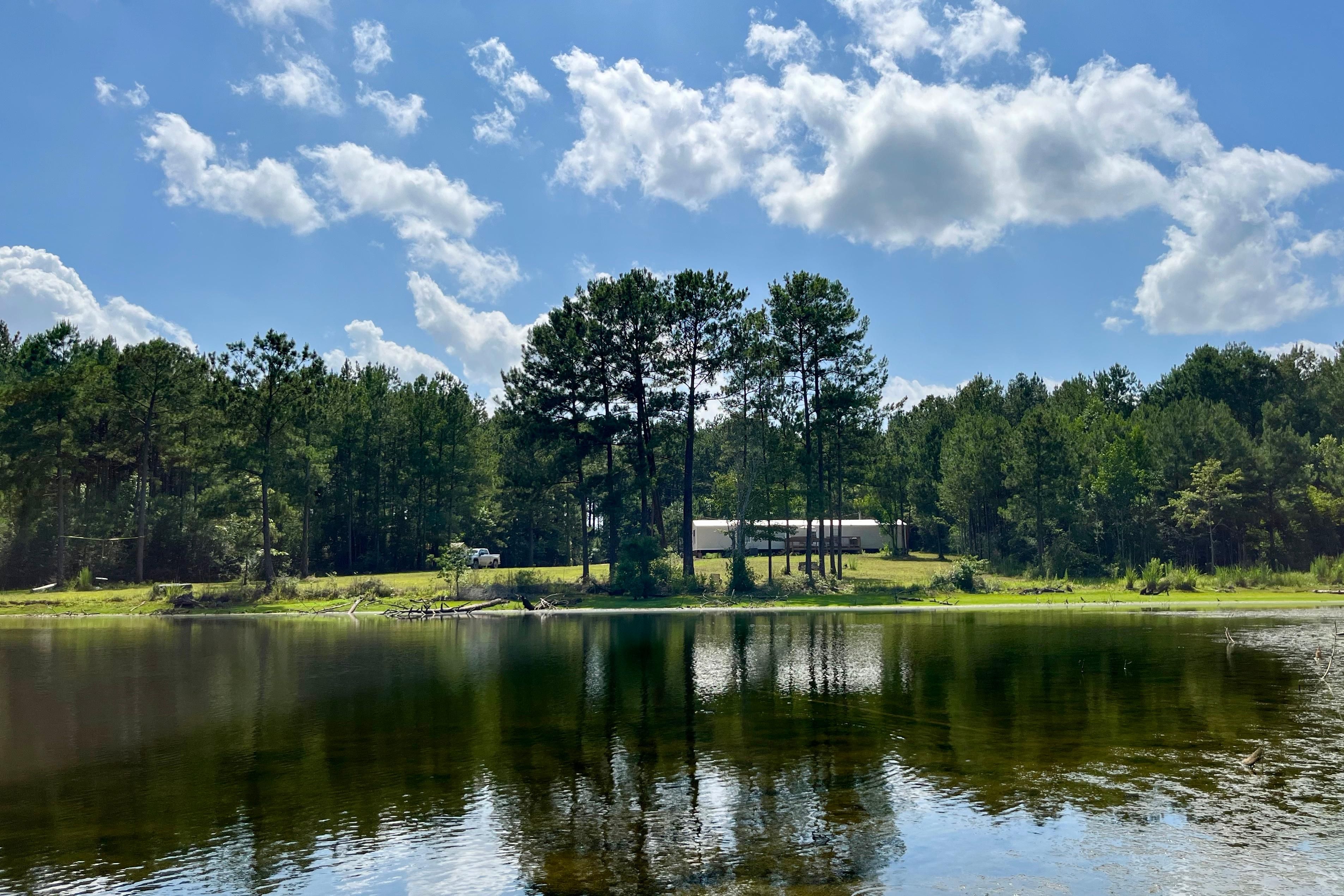 65 acres in Amite County, Mississippi