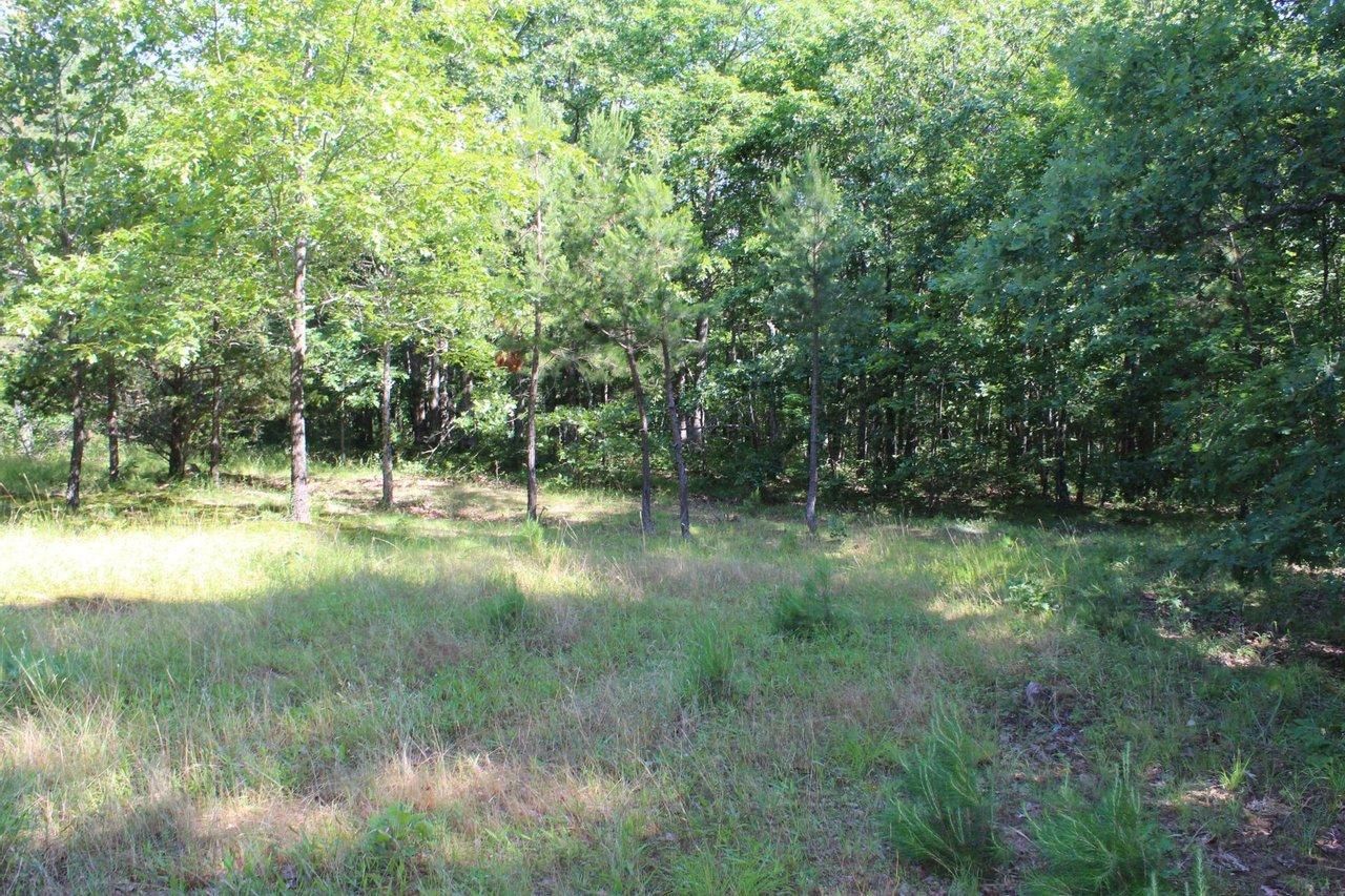 40 acres in Van Buren County, Arkansas