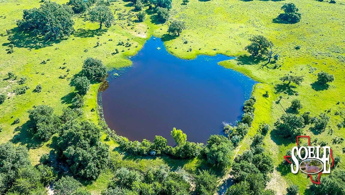 1,007 acres in Hallettsville, TX, 77964